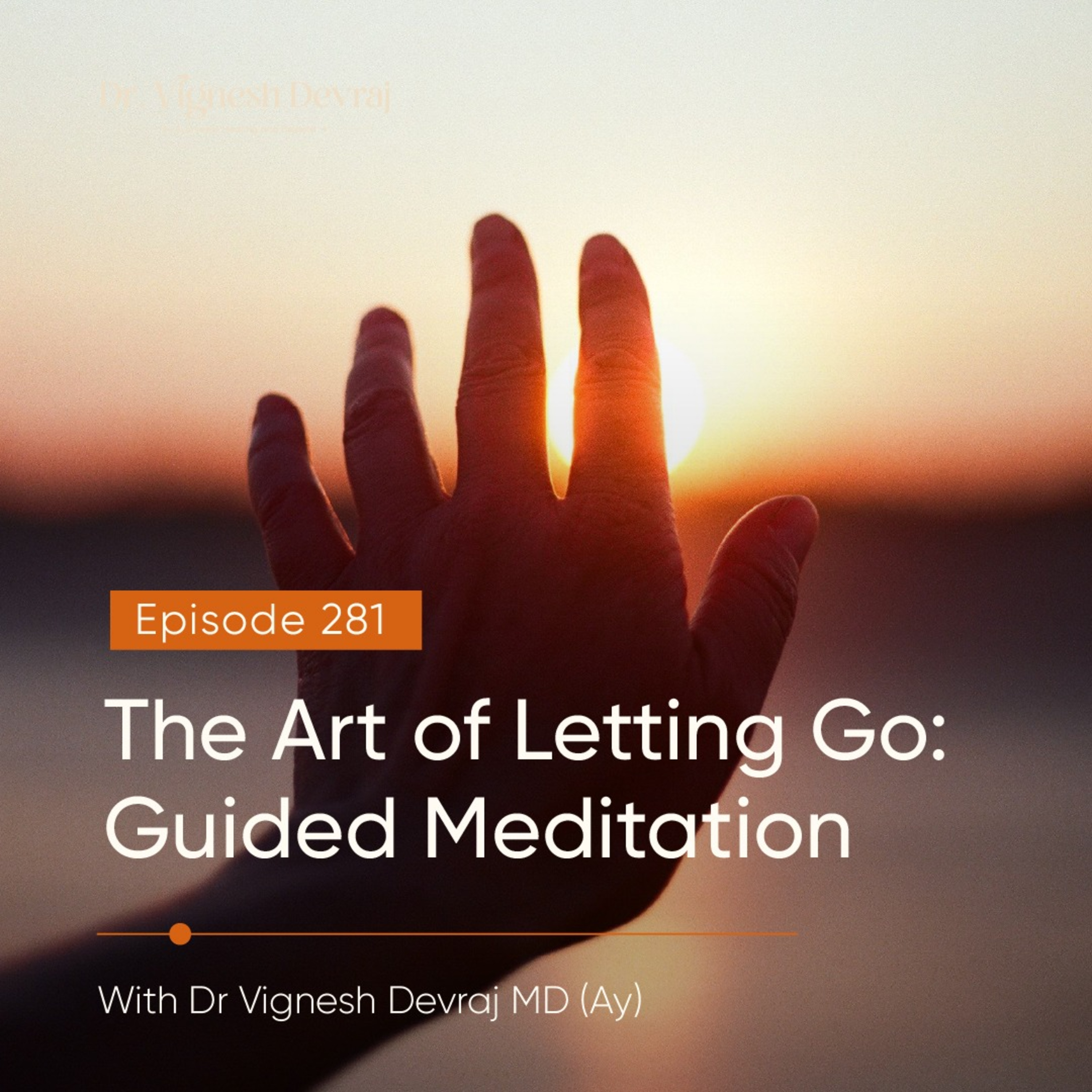 #281 The Art of Letting Go: Guided Meditation with Dr Vignesh Devraj, MD (Ay) episode artwork