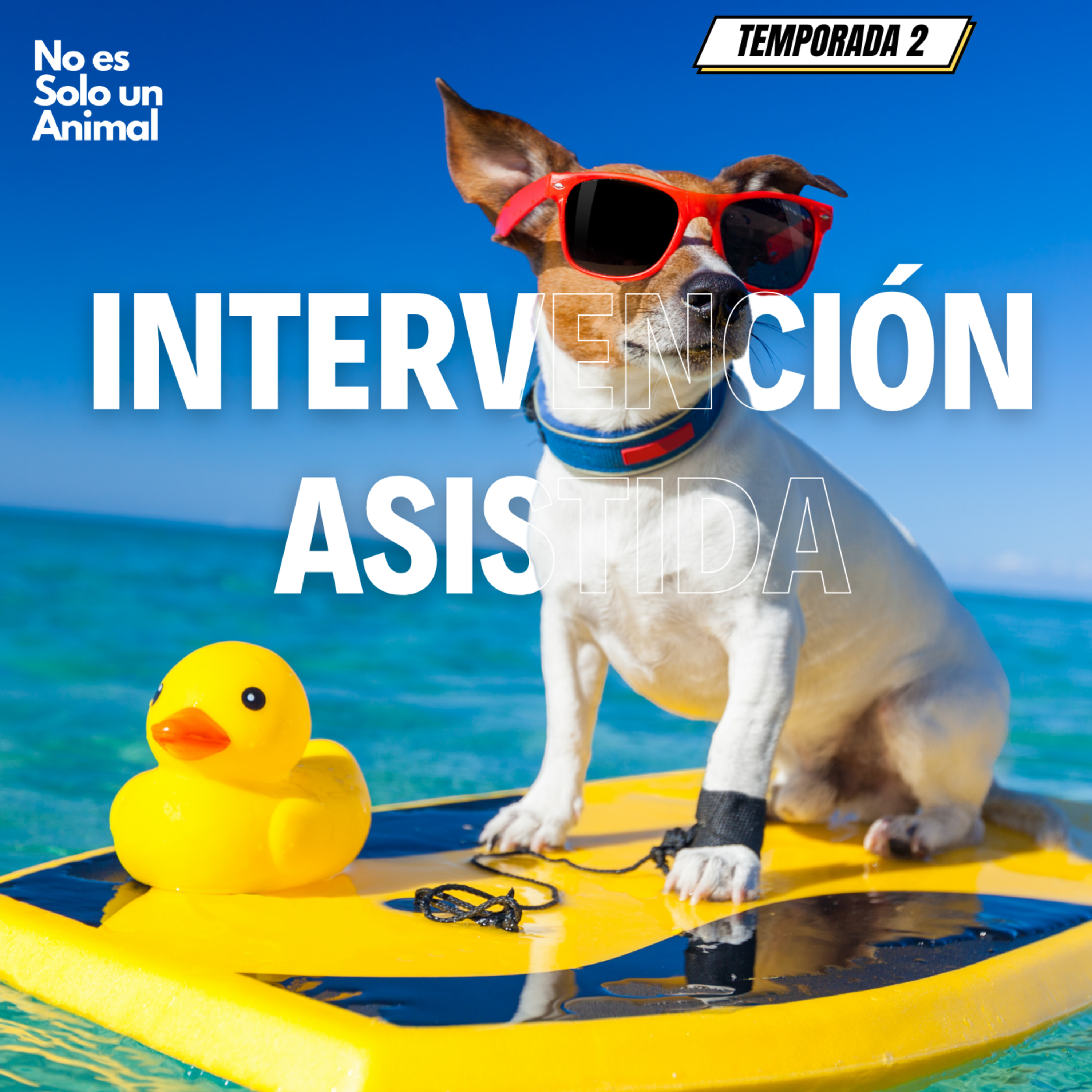 No es Solo un Animal