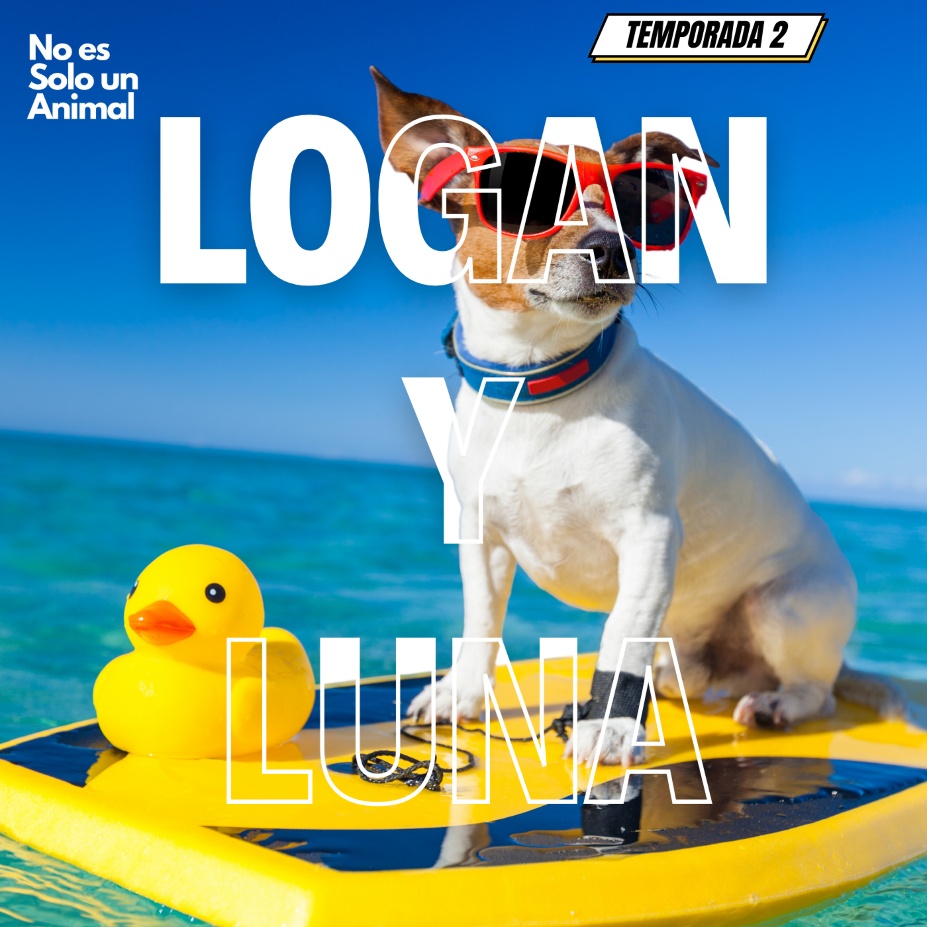 No es Solo un Animal