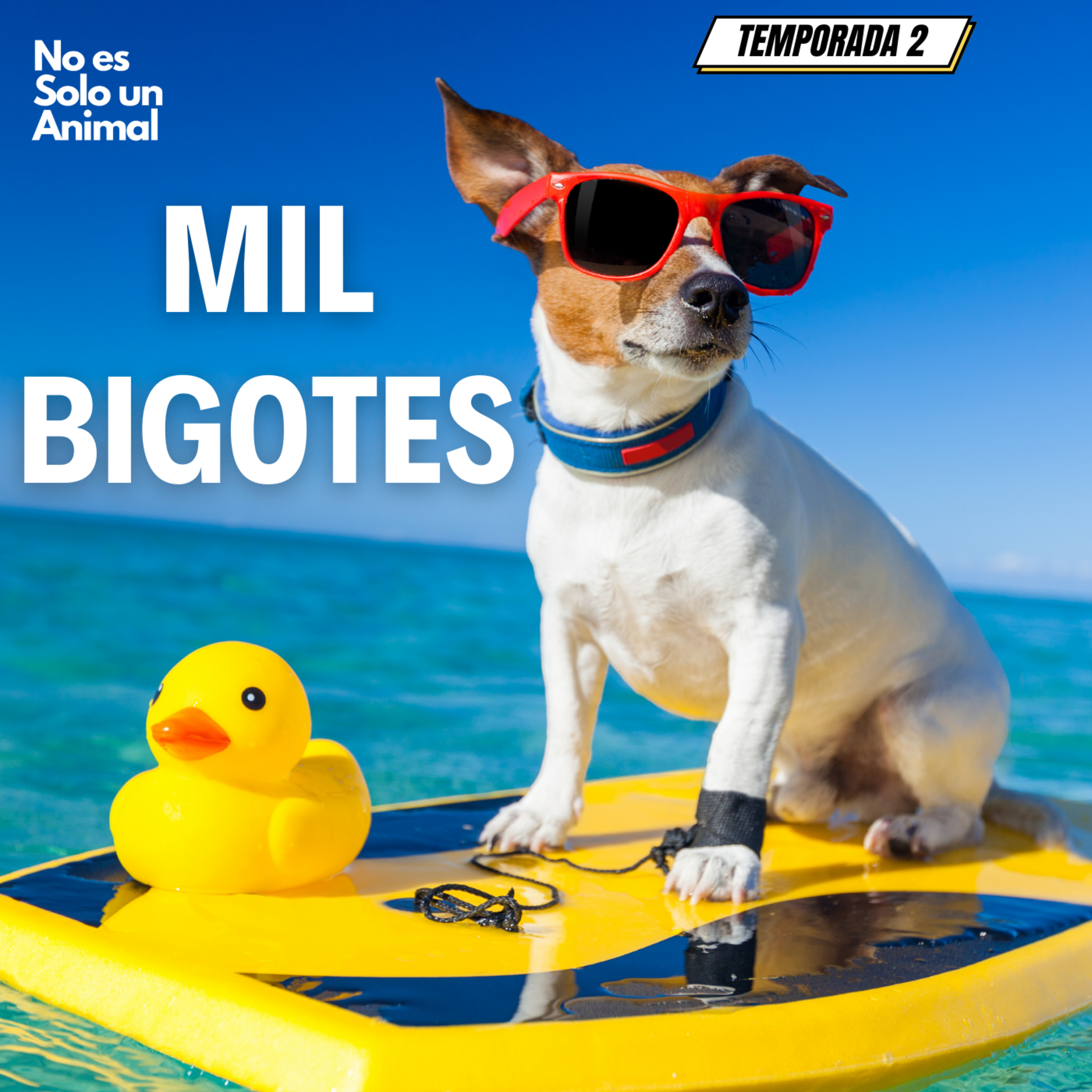 No es Solo un Animal