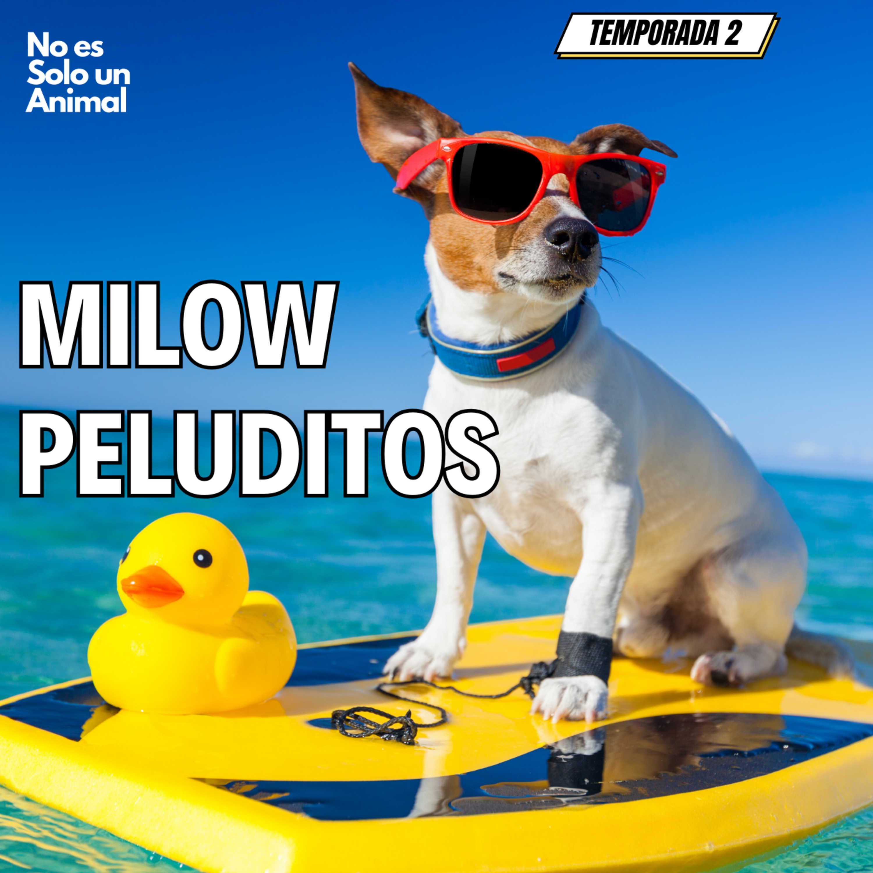 No es Solo un Animal