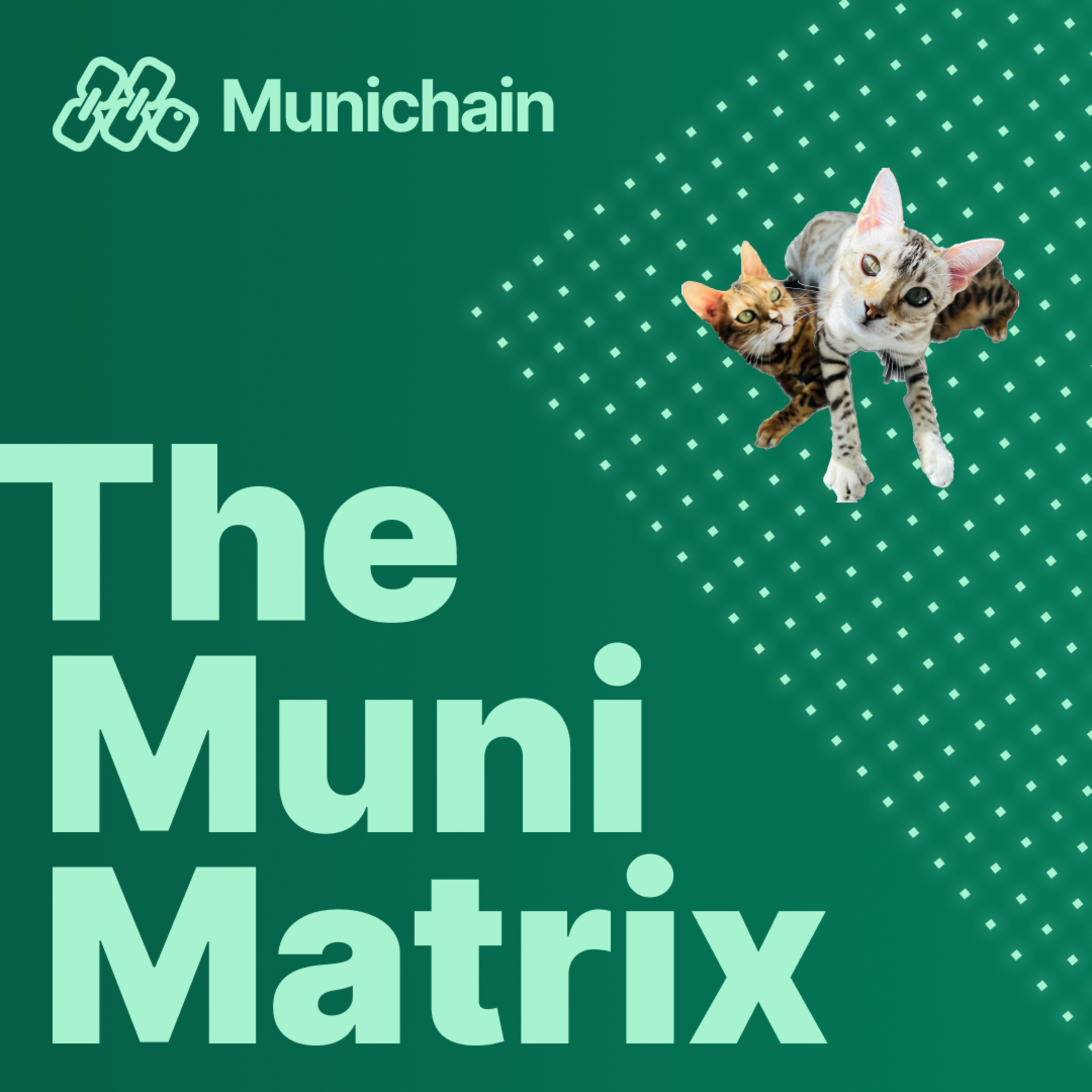 The Muni Matrix