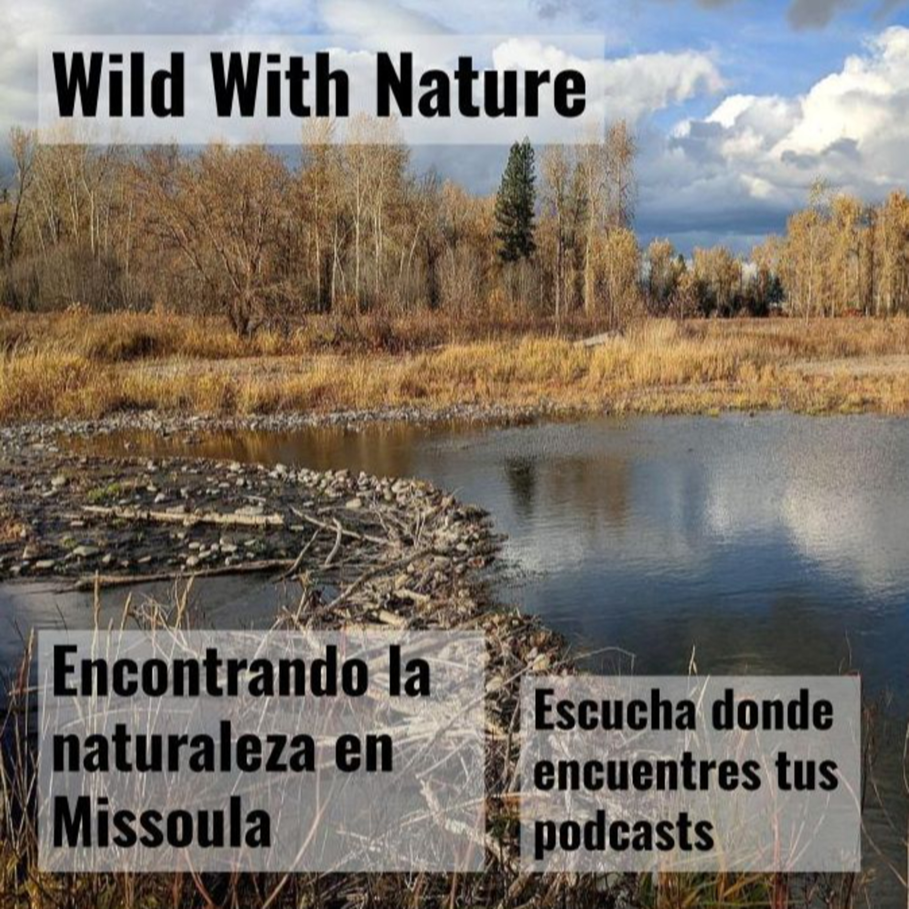 Encontrando la naturaleza en Missoula: el otoño por Kelly Island episode artwork