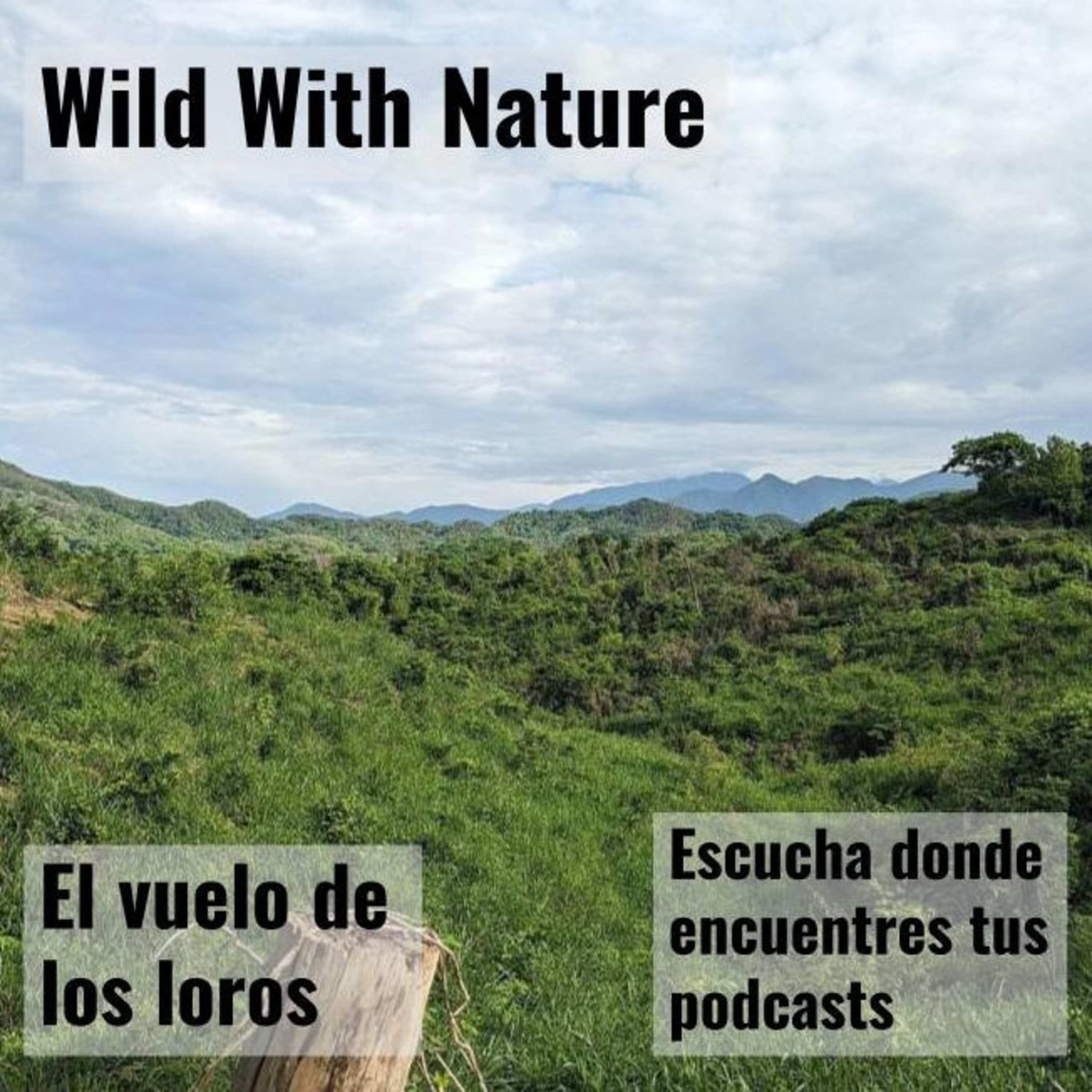 El vuelo de los loros: prestando atención a la naturaleza con Richard Louv episode artwork