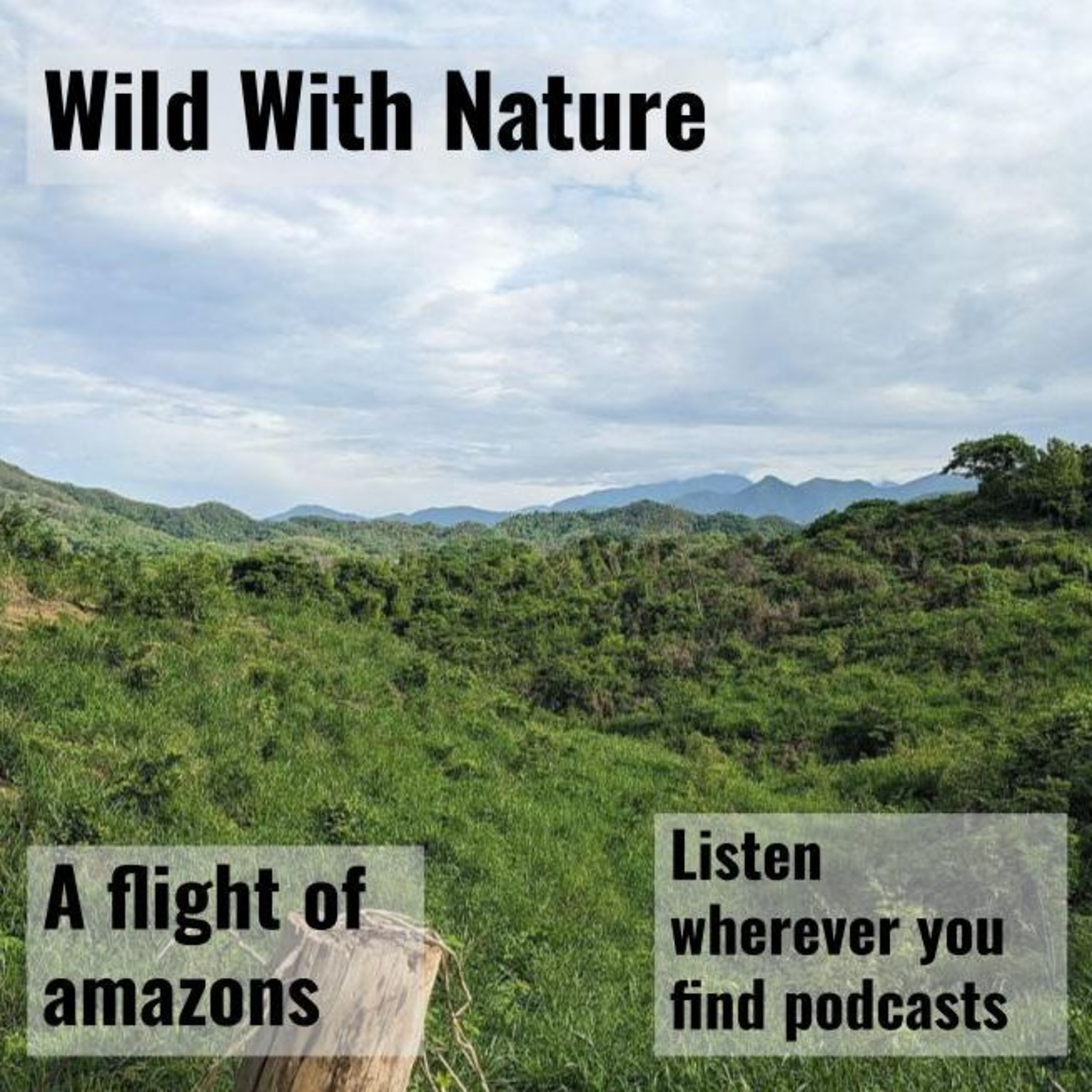 A flight of amazons: noticing nature with Richard Louv episode artwork