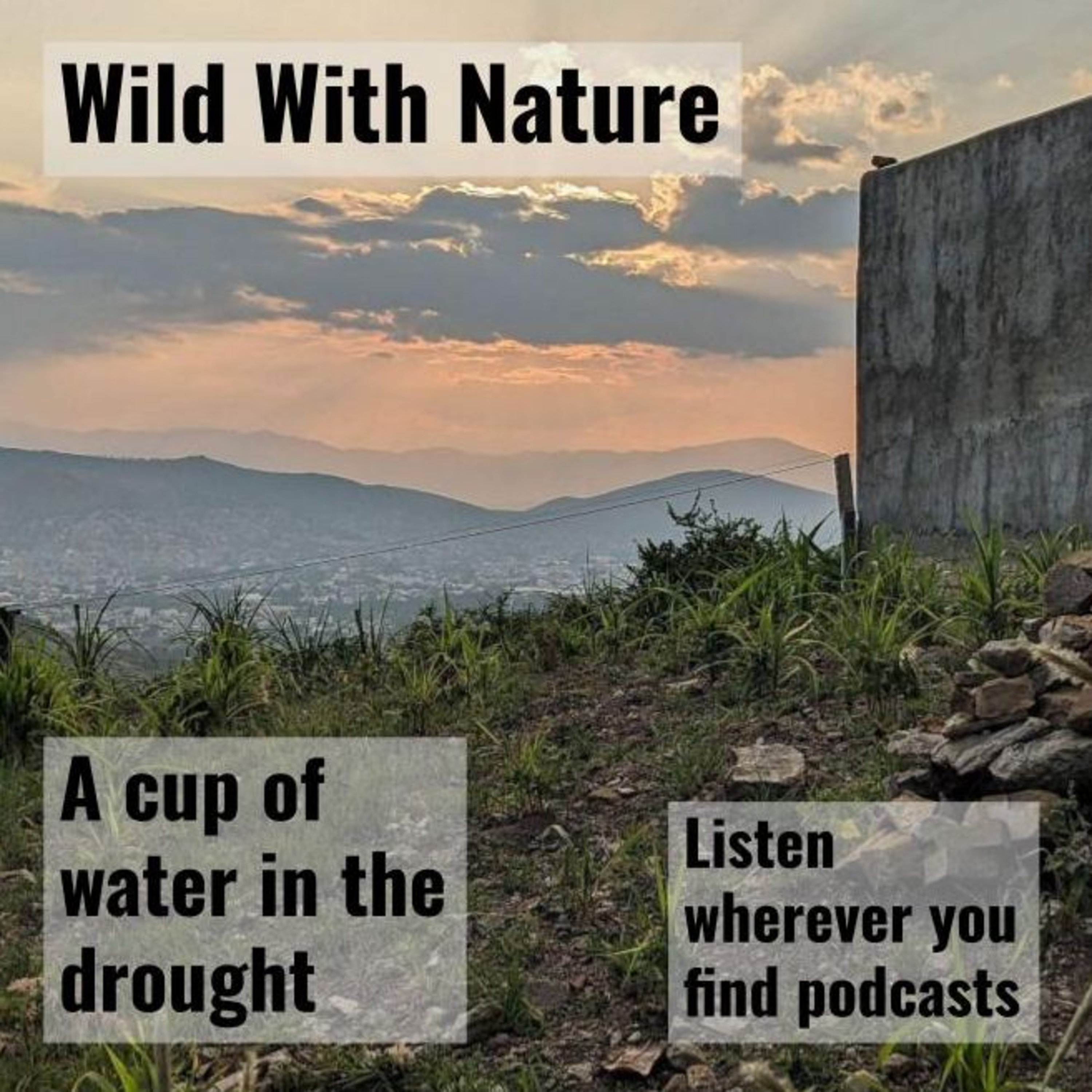 A cup of water in the drought episode artwork