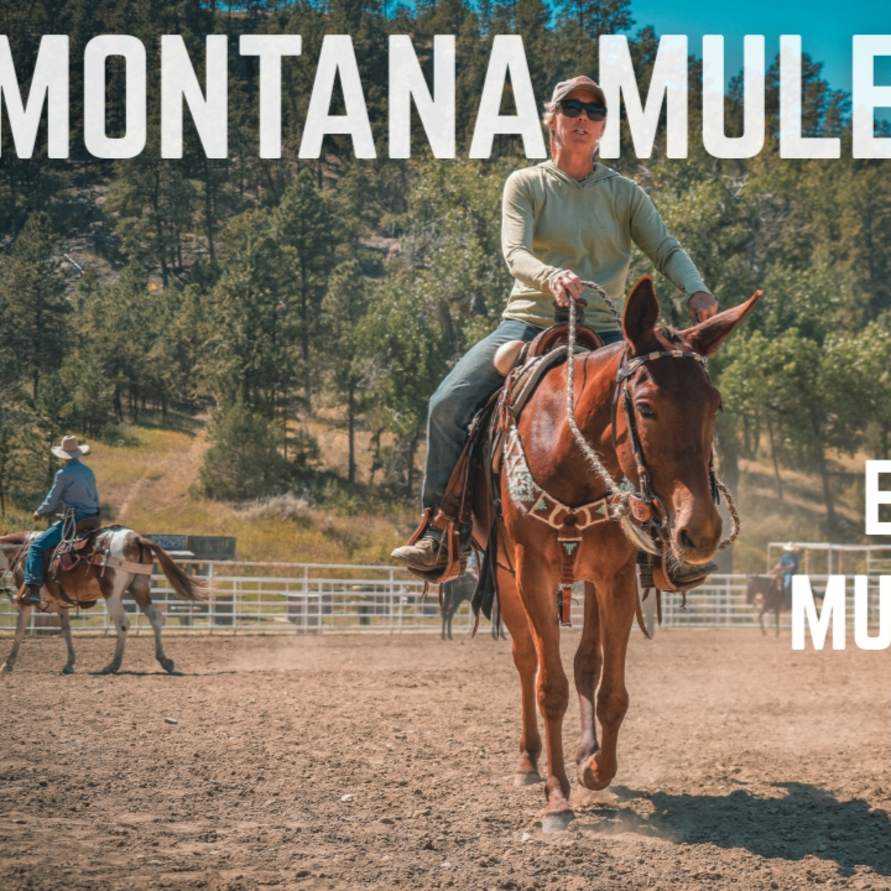 261. Montana Mule Lady- With Jessy Coltrane episode artwork