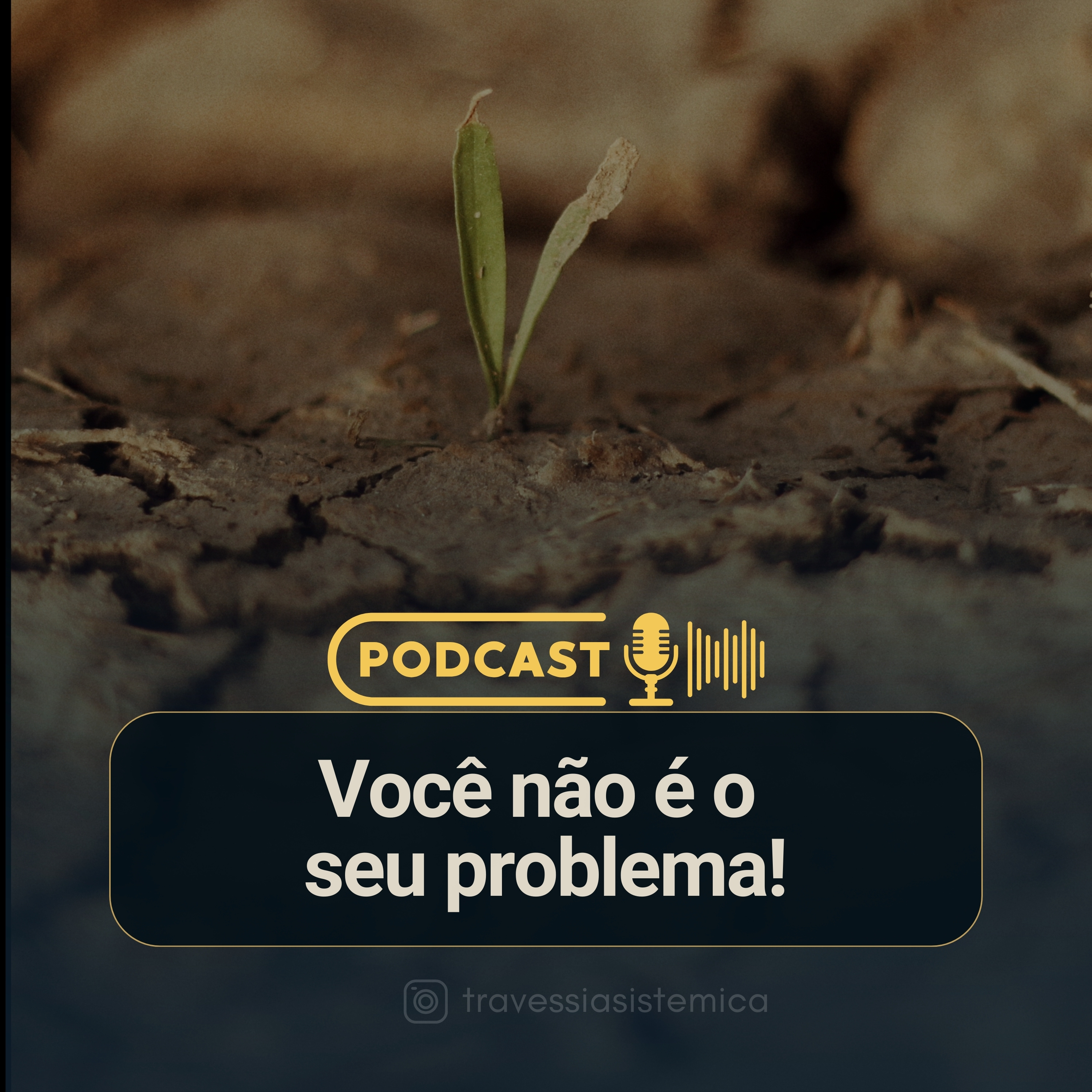 A CURA DO SEU TRAUMA | LEANDRO XAVIER