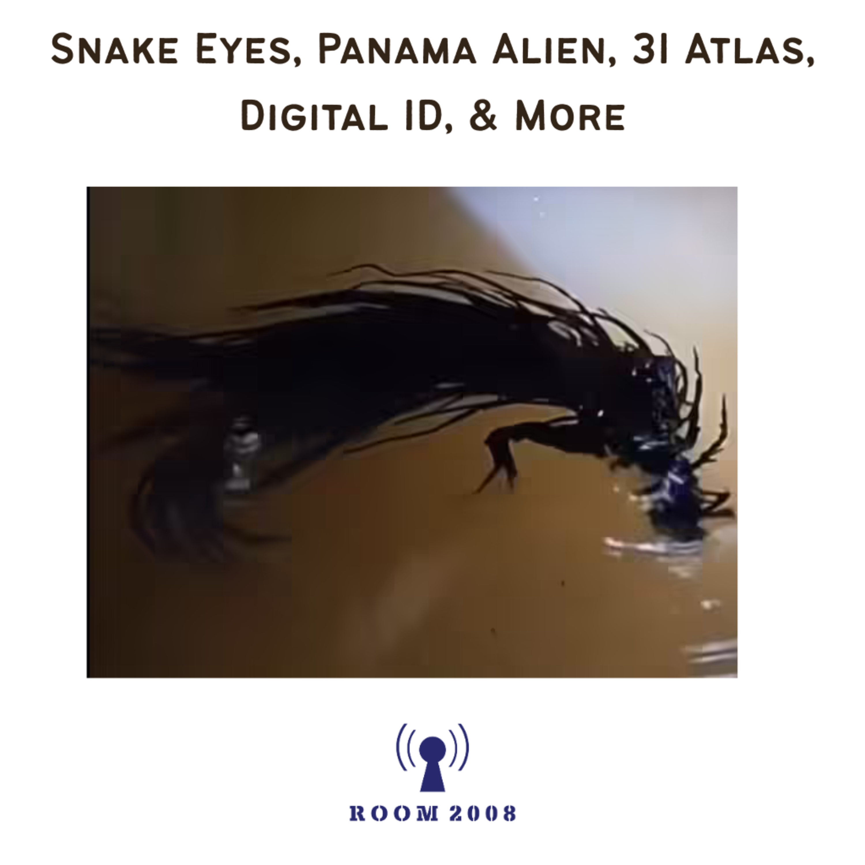 Ep. 149 - Snake Eyes, Panama, 3I Atlas, Digital ID, & More episode artwork