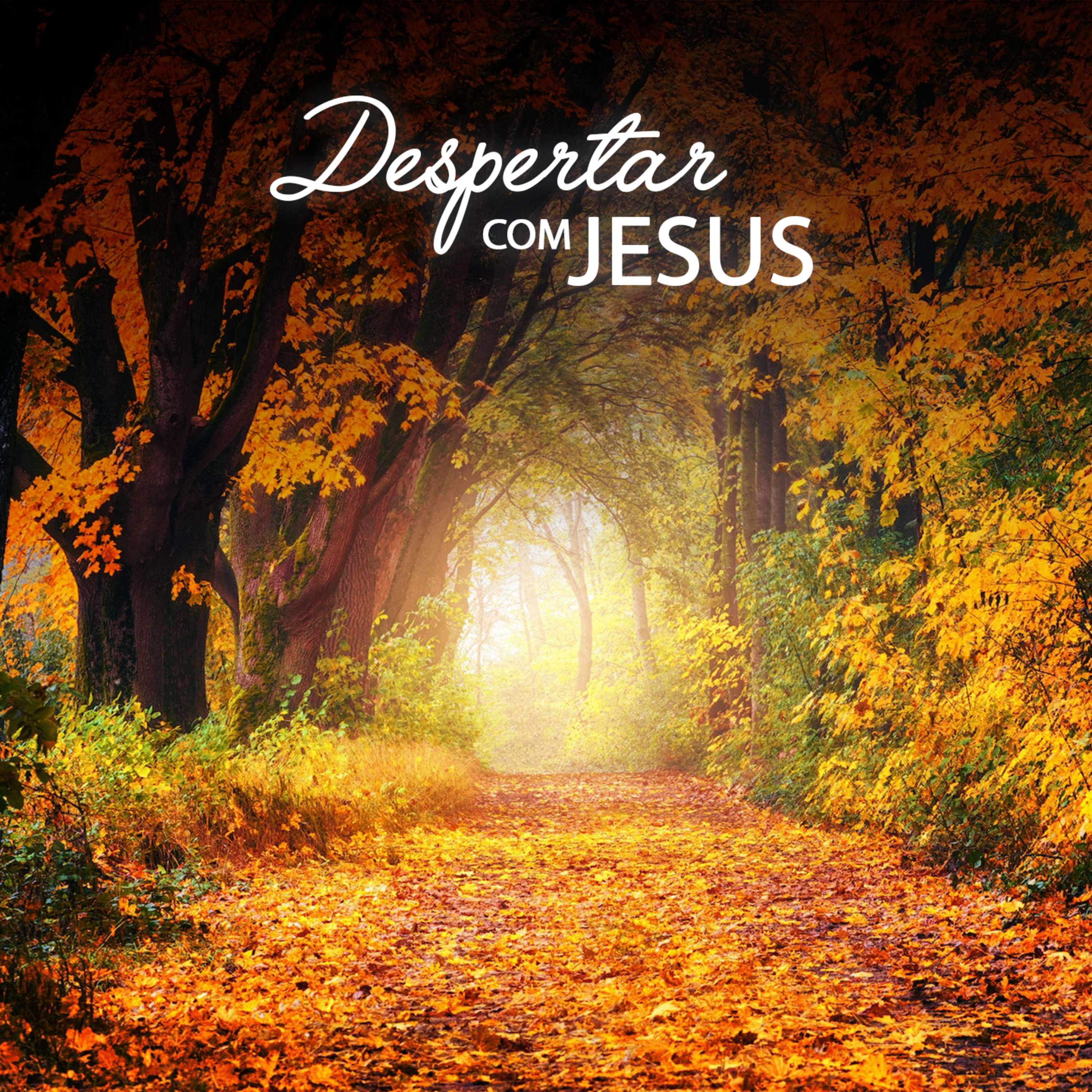 Despertar com Jesus
