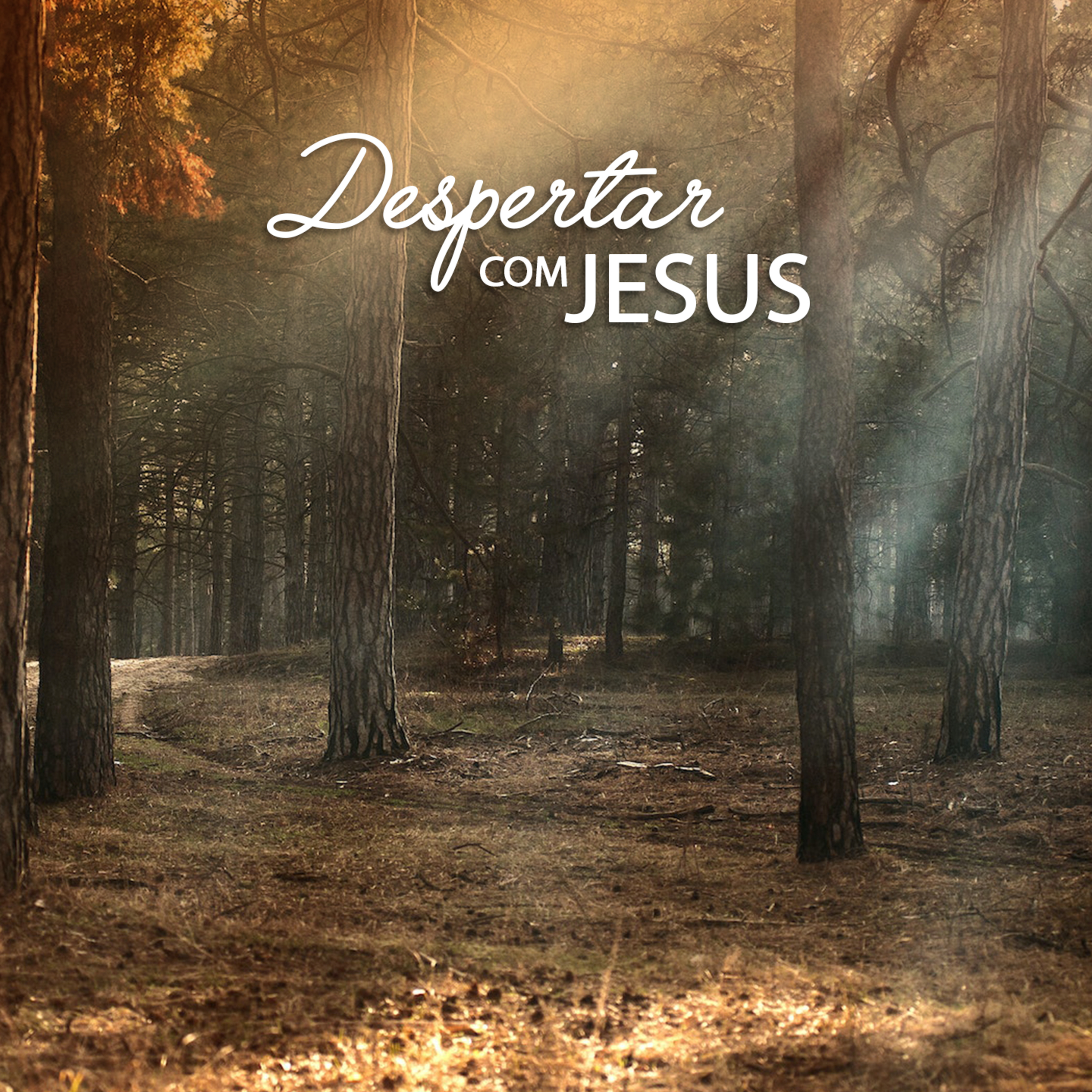 Despertar com Jesus
