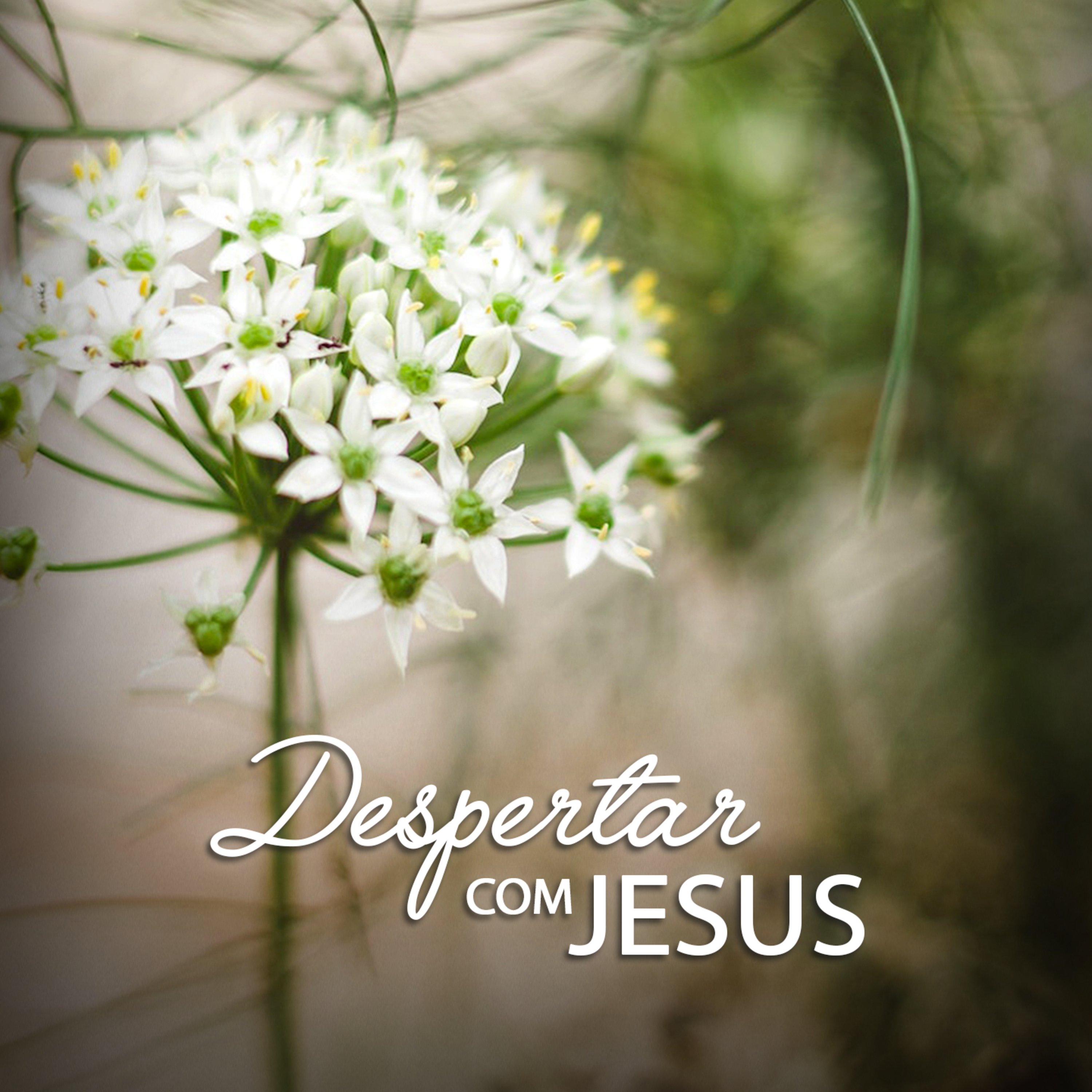 Despertar com Jesus