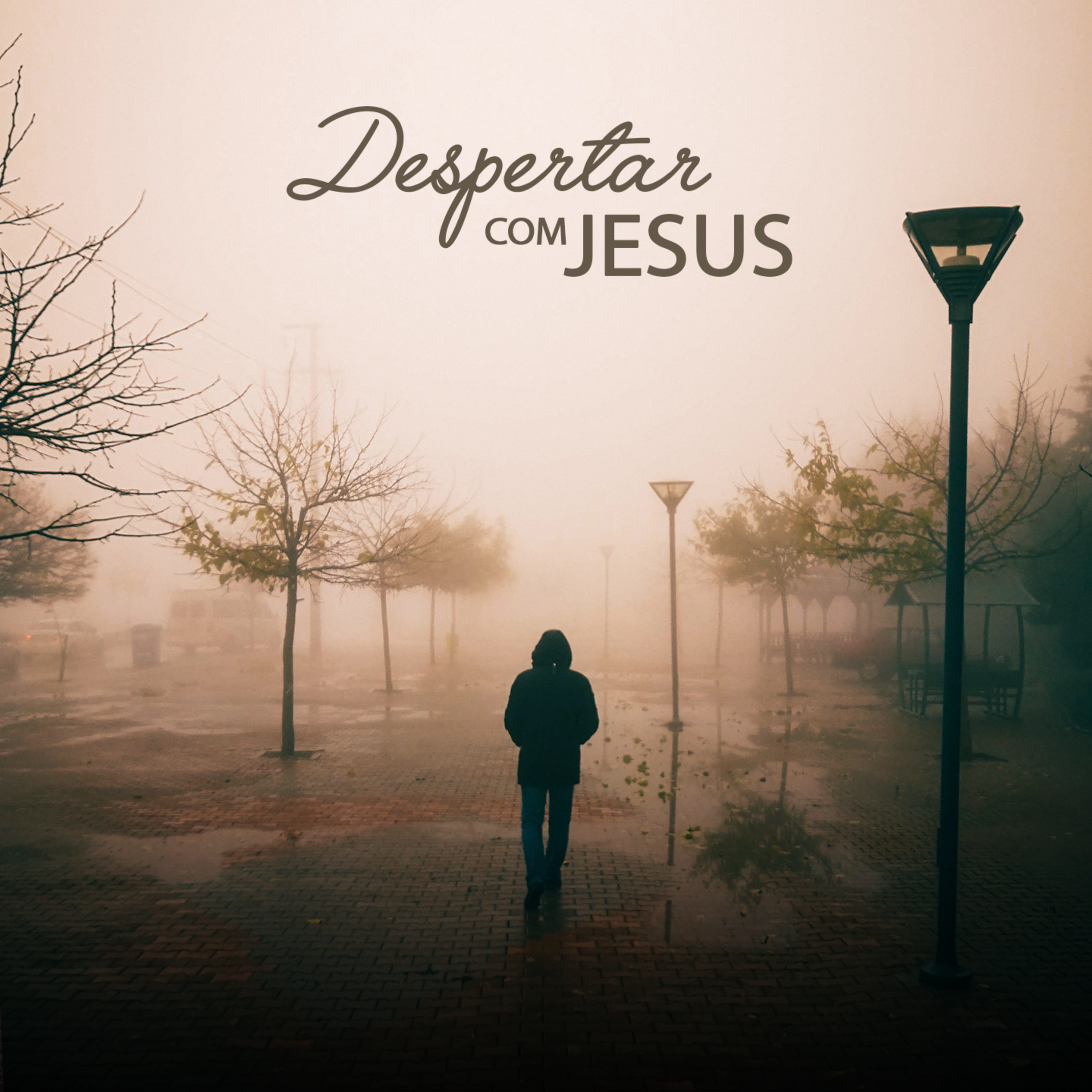A inveja e seus caminhos episode artwork