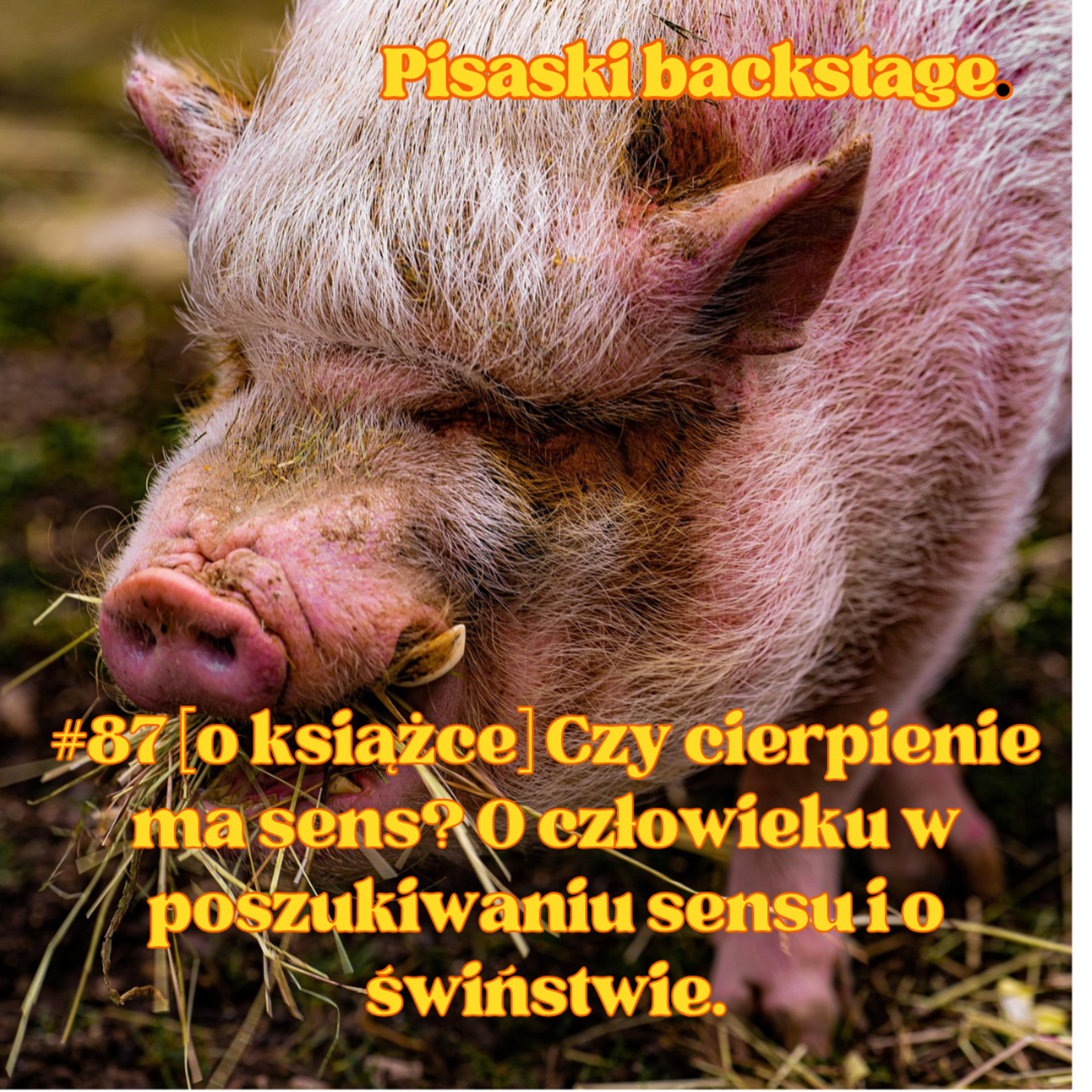 Pisarski backstage