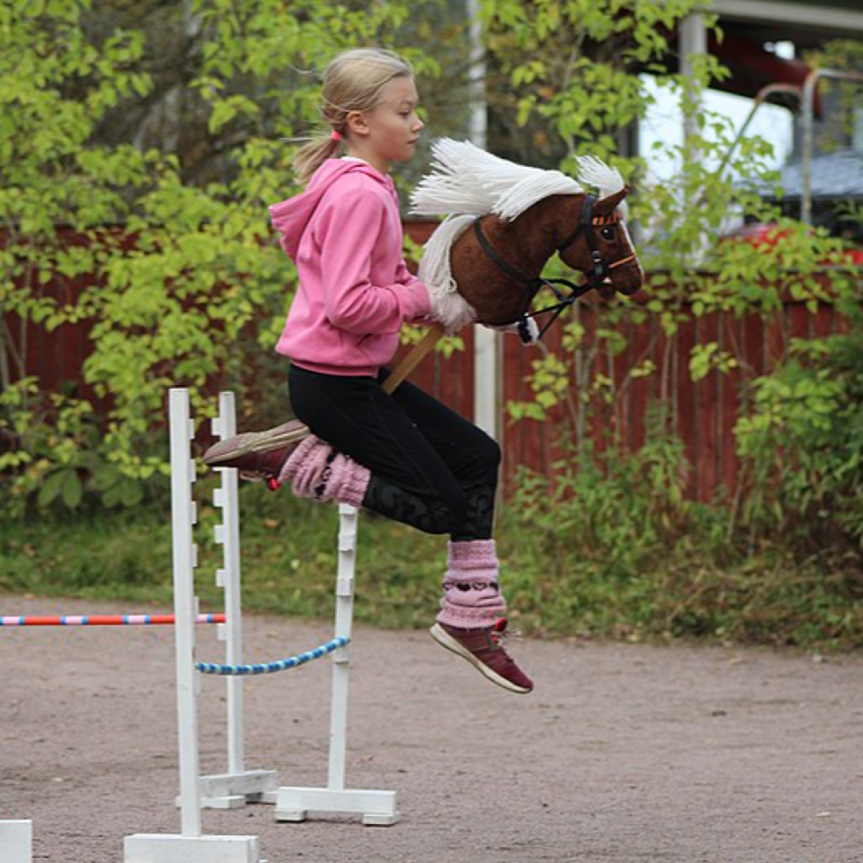 Pferde verSTEHN