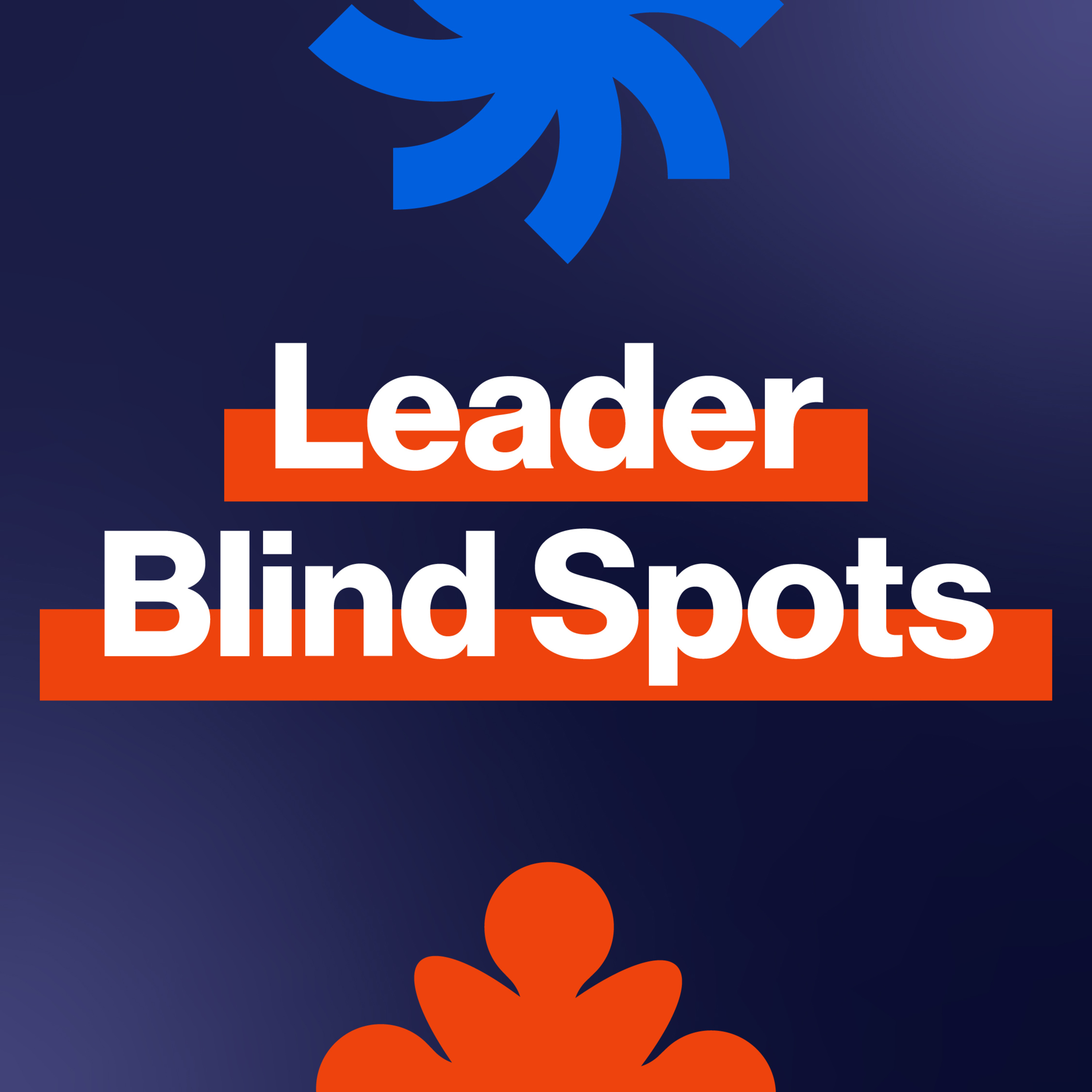 EP207: Leader Blind Spots episode artwork