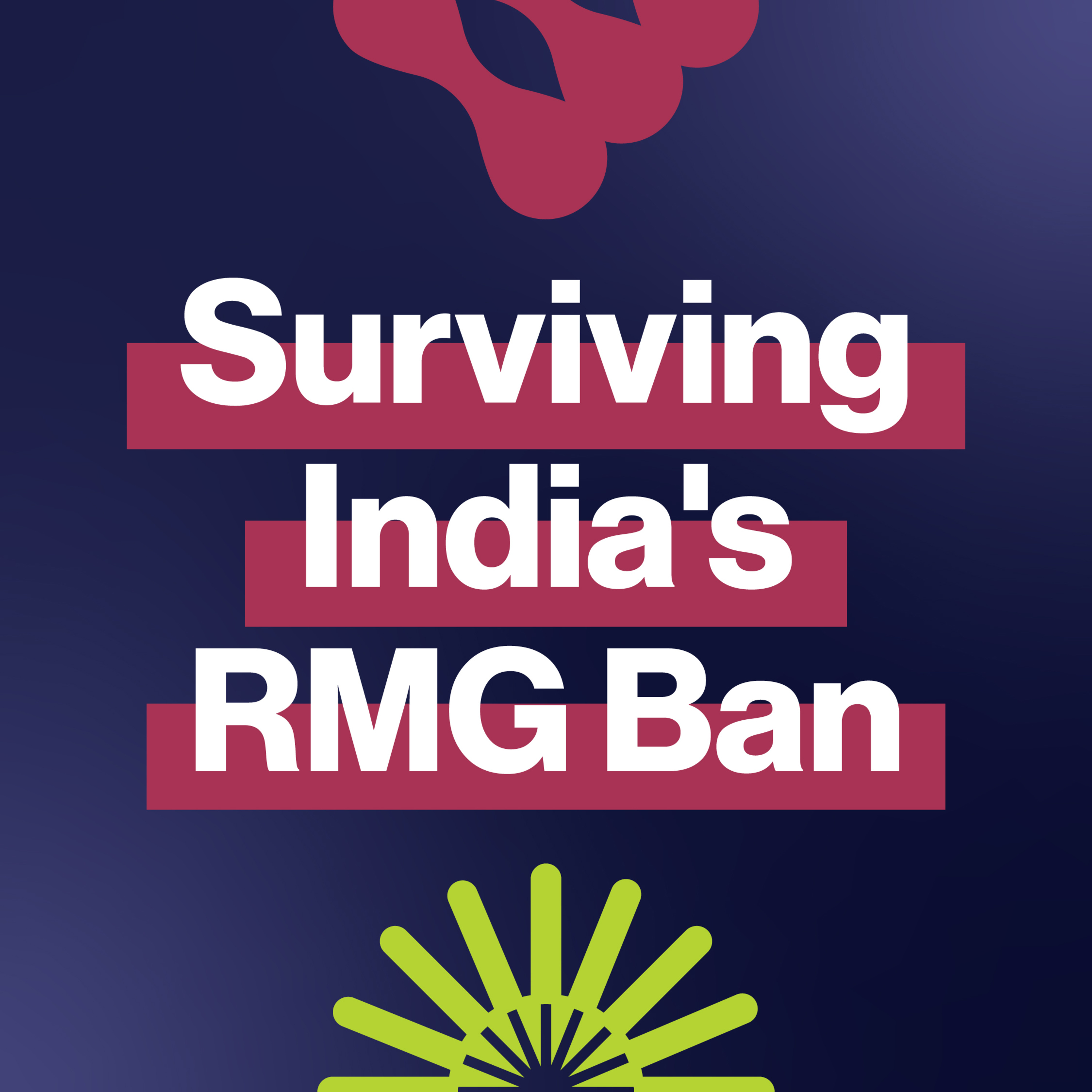 EP316: What will survive after India's 2025 RMG ban? episode artwork