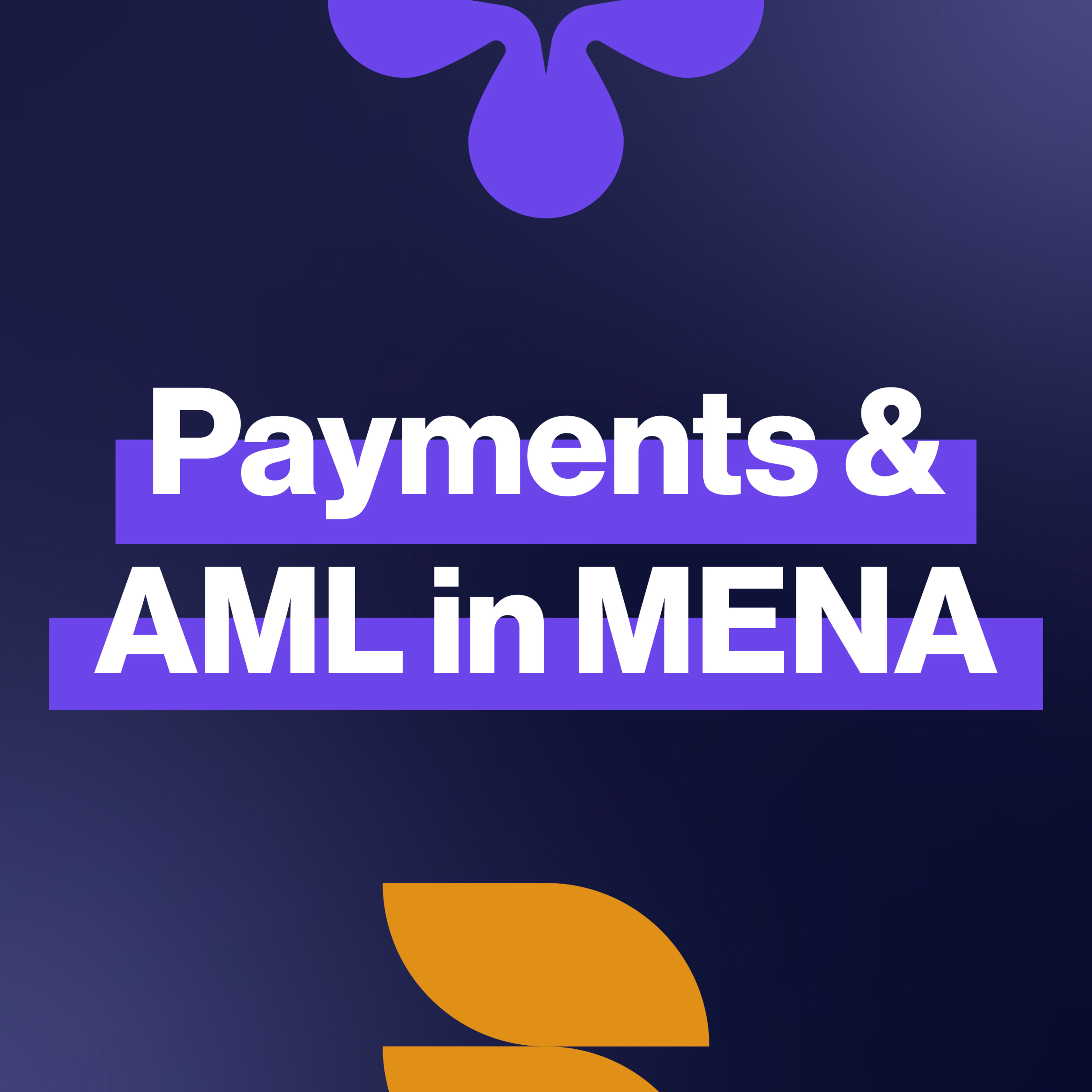EP408: Cash, Code & Compliance in MENA Payments episode artwork