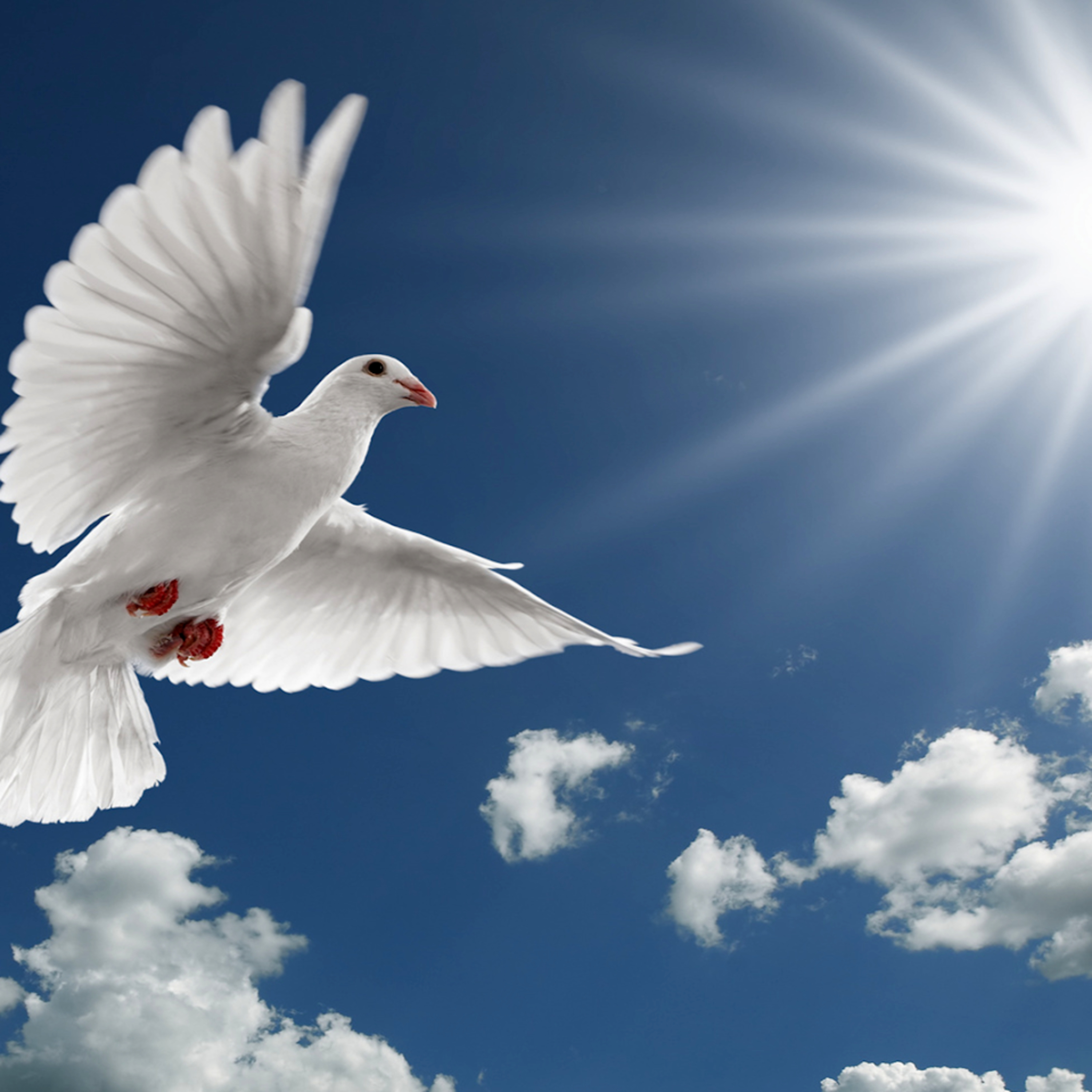 Jesus Answers Prayer