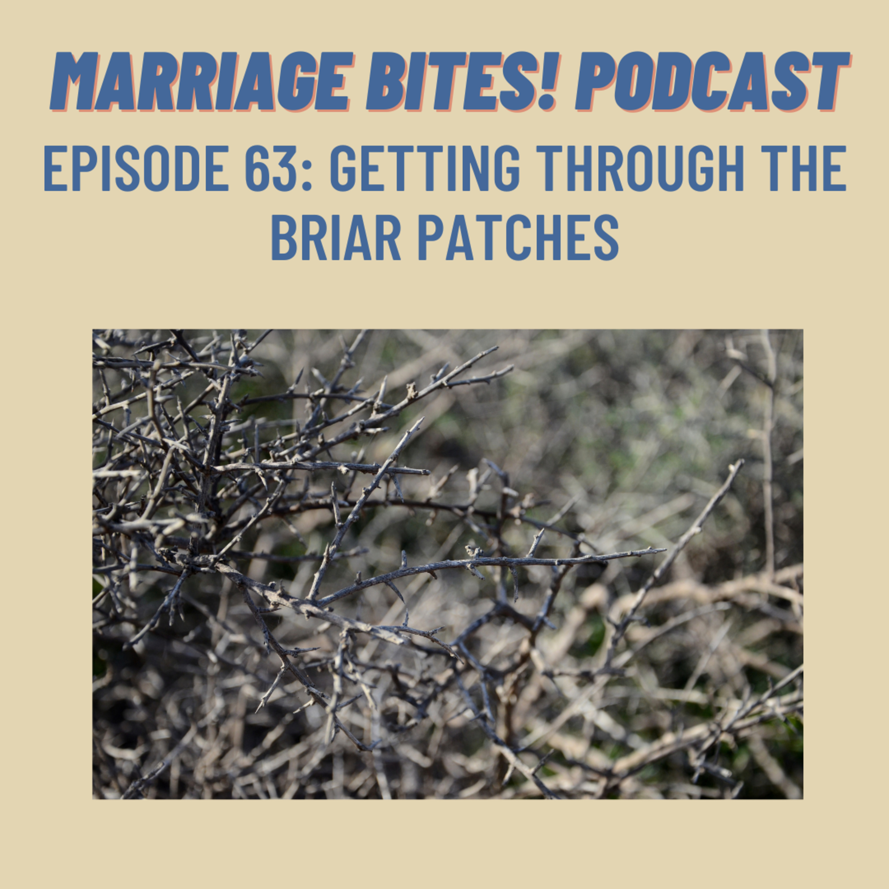 Marriage Bites! Podcast | Improve Your Marriage One \