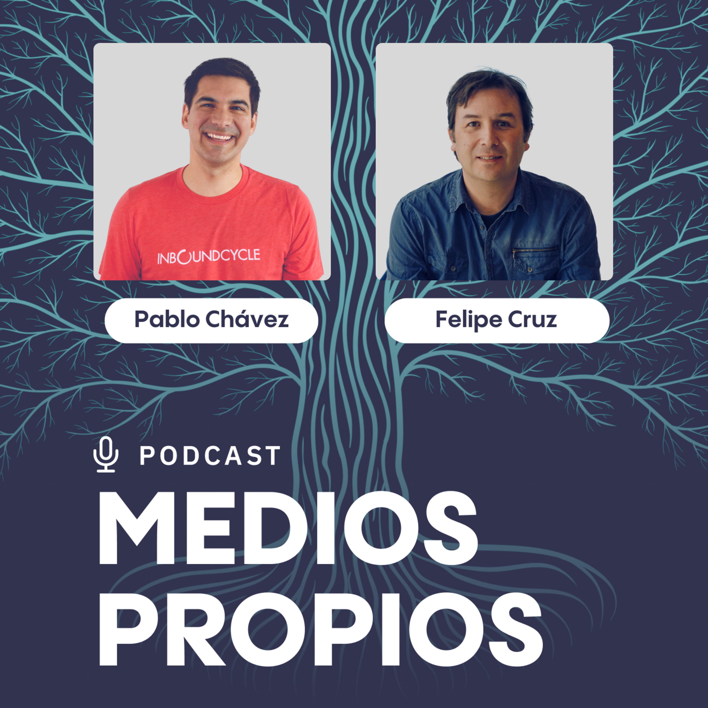 "Queremos diferenciarnos más por servicio que por tarifa" ▷ Felipe Cruz, Gerente Comercial de VirtualPOS episode artwork