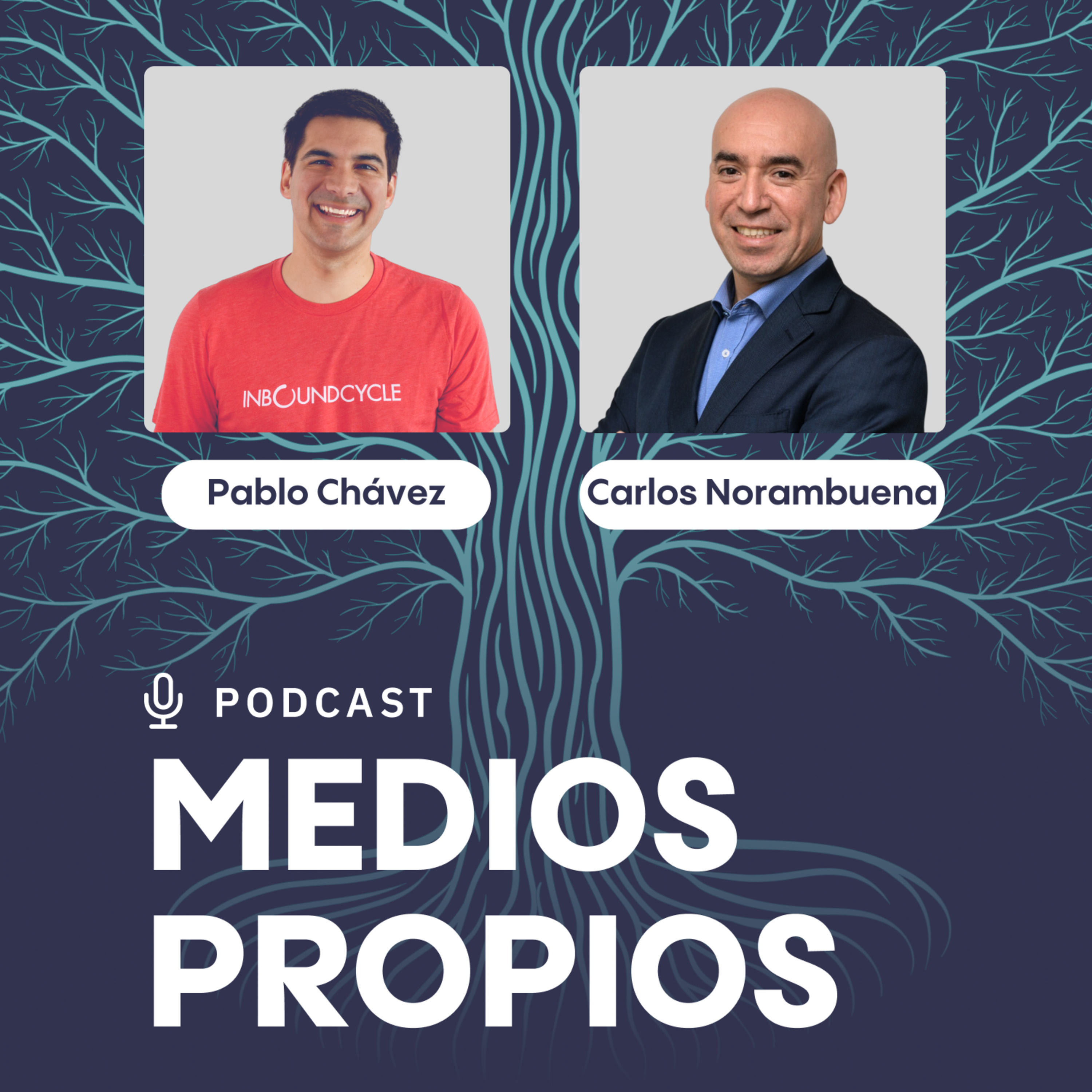 "La nueva ley de ciberseguridad generará nuevos negocios" - Carlos Norambuena, subgerente general de S&A Chile episode artwork