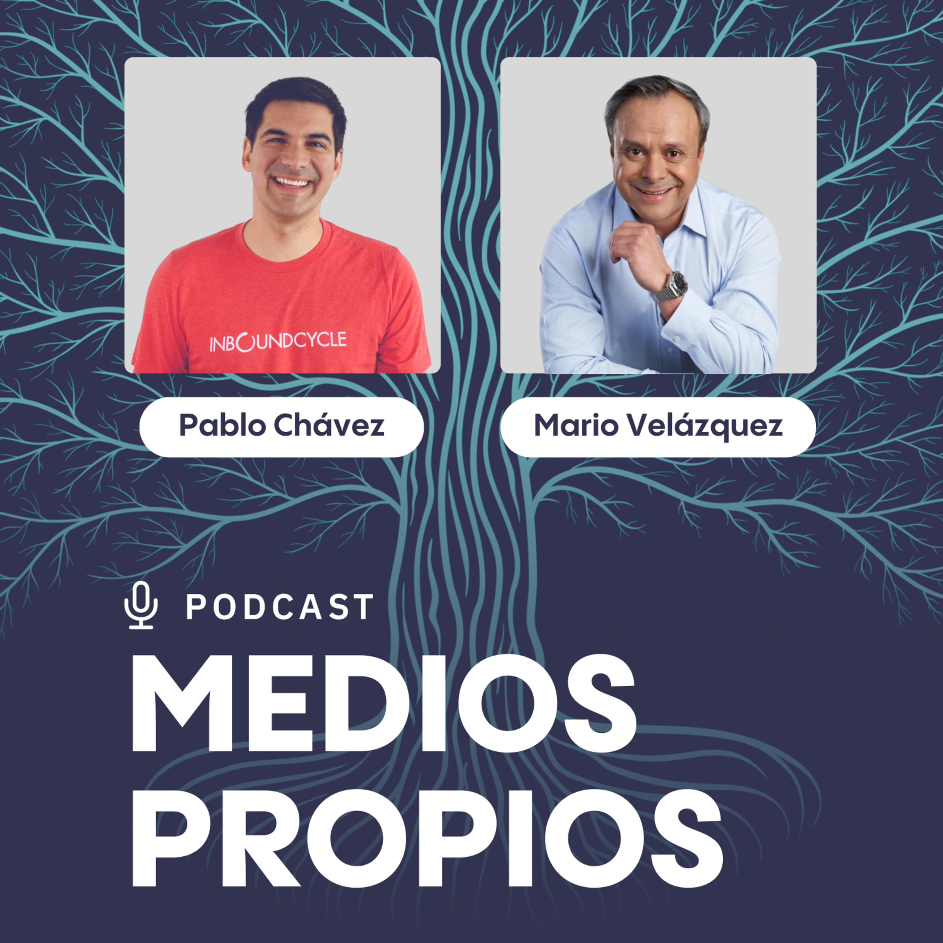 "La inteligencia artificial nos puede ayudar a abordar a un cliente desde un punto de vista consultivo" - Mario A. Velázquez, Presidente del Clúster Surandino de Schneider Electric episode artwork