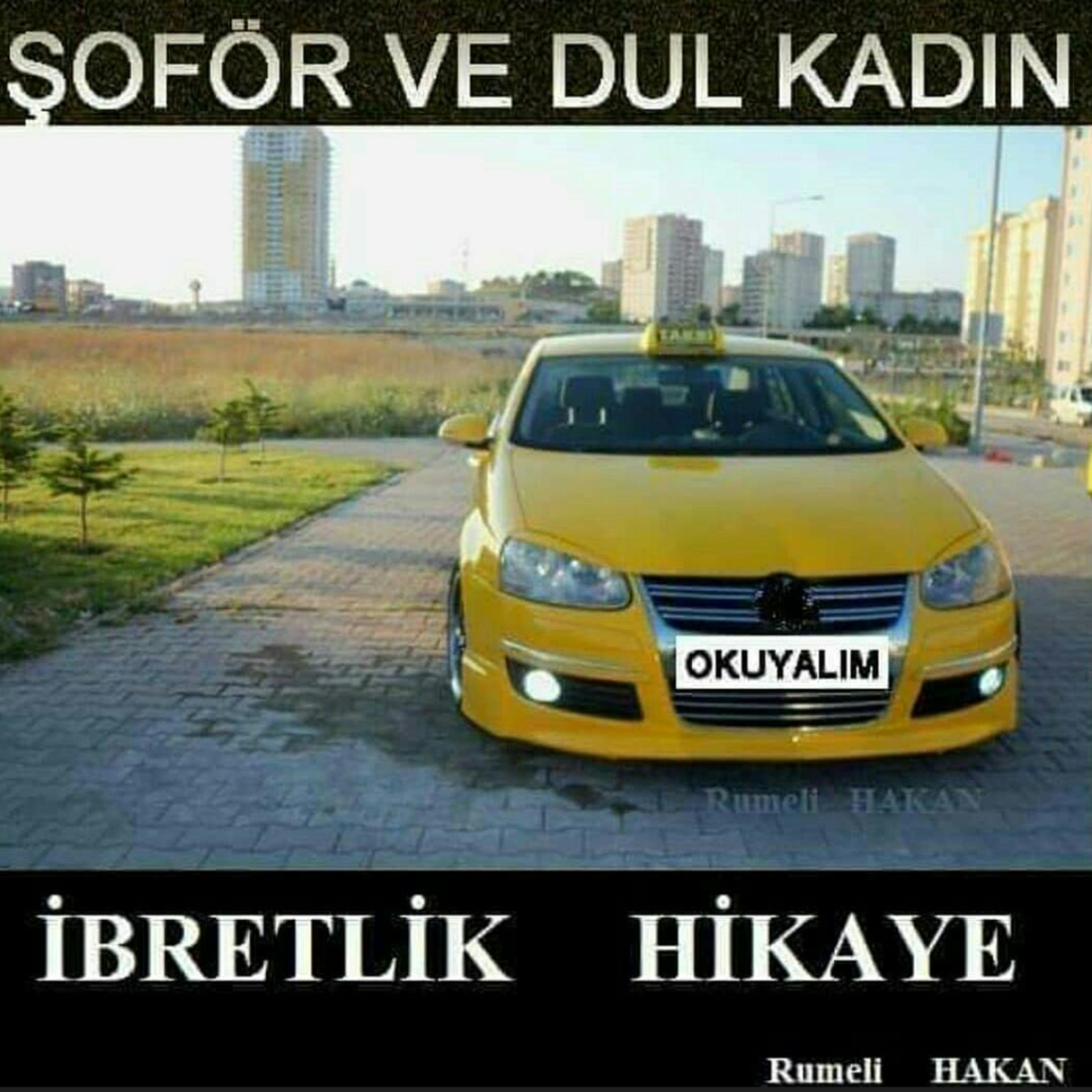 BAZA | CAHİL KÖPEKLER