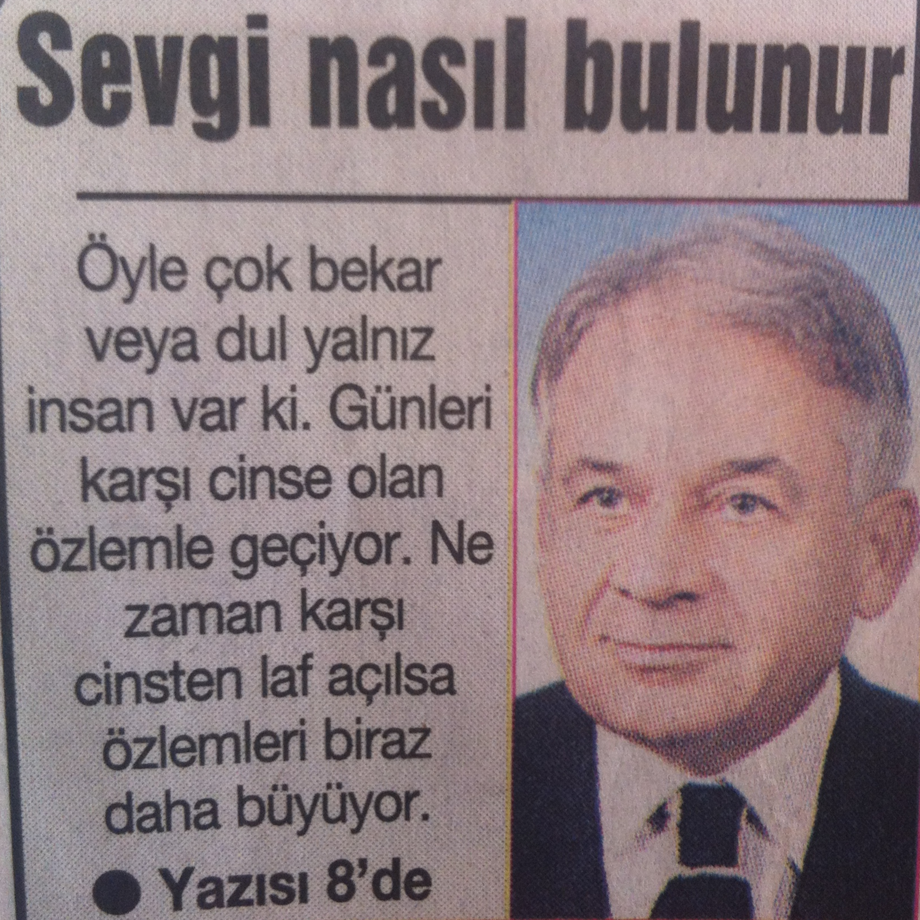 BAZA | CAHİL KÖPEKLER