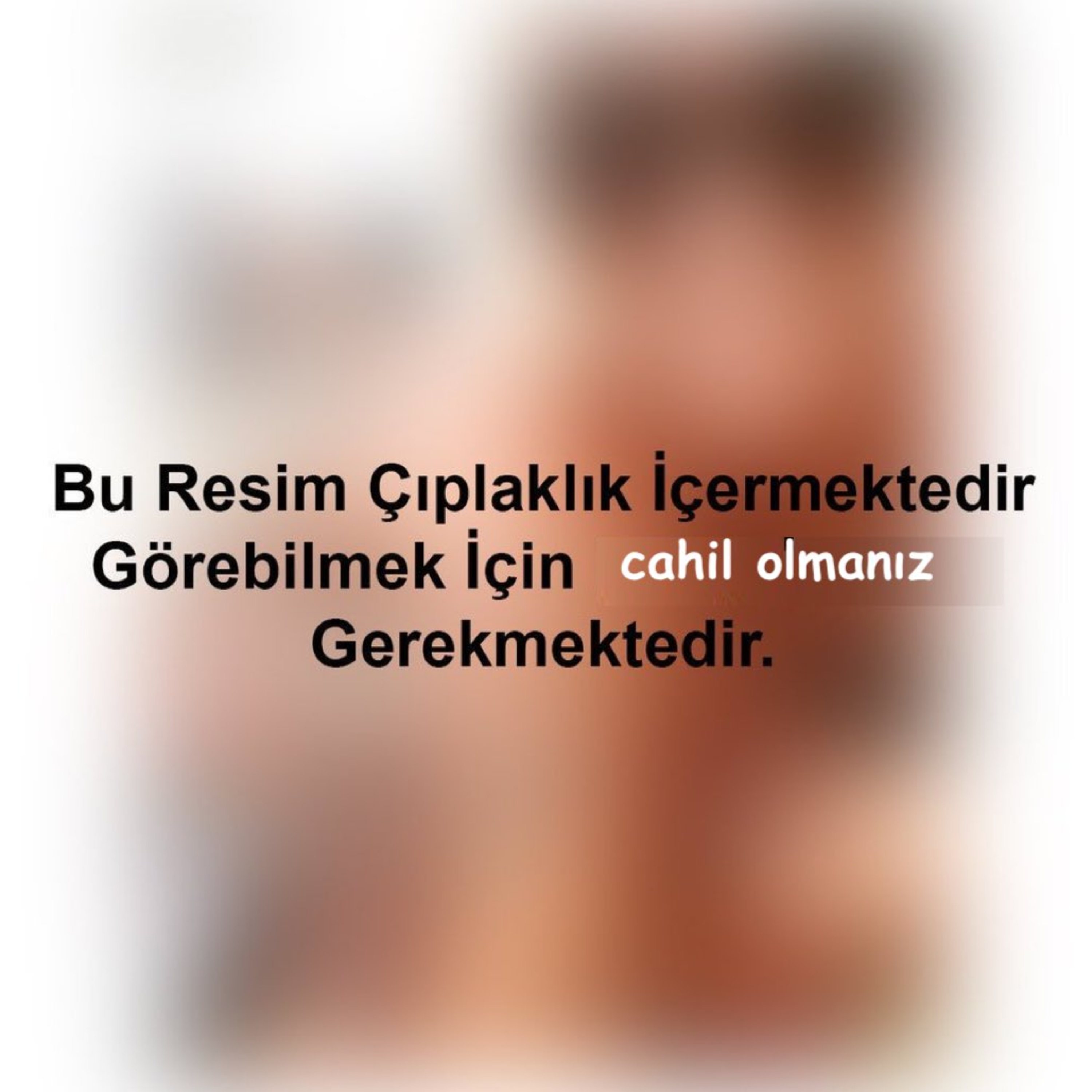 BAZA | CAHİL KÖPEKLER