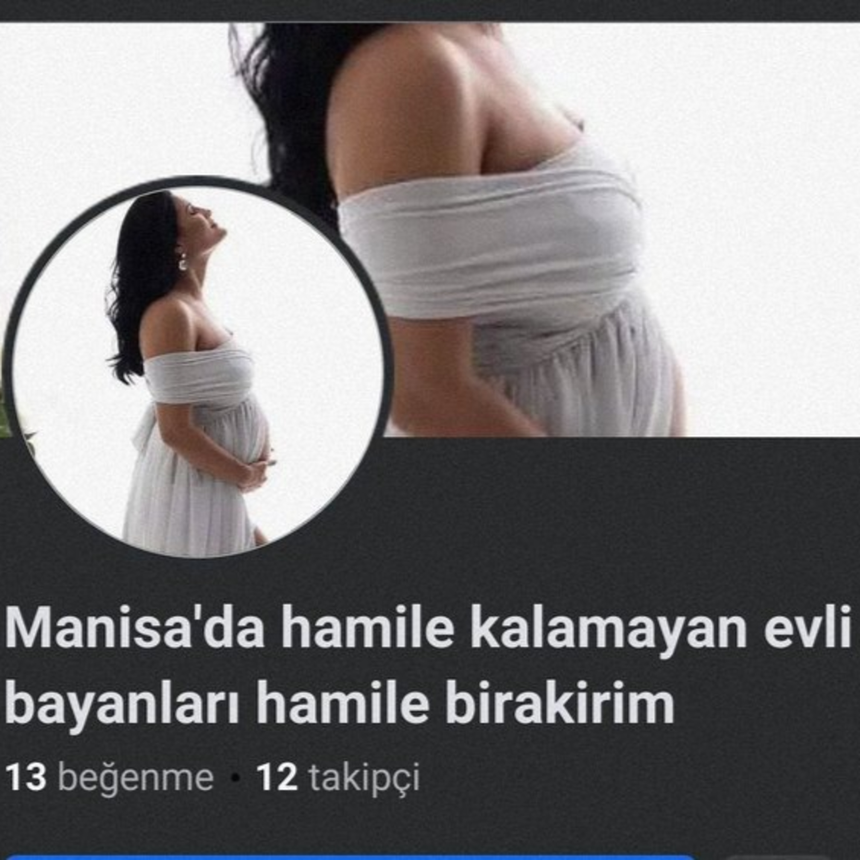BAZA | CAHİL KÖPEKLER