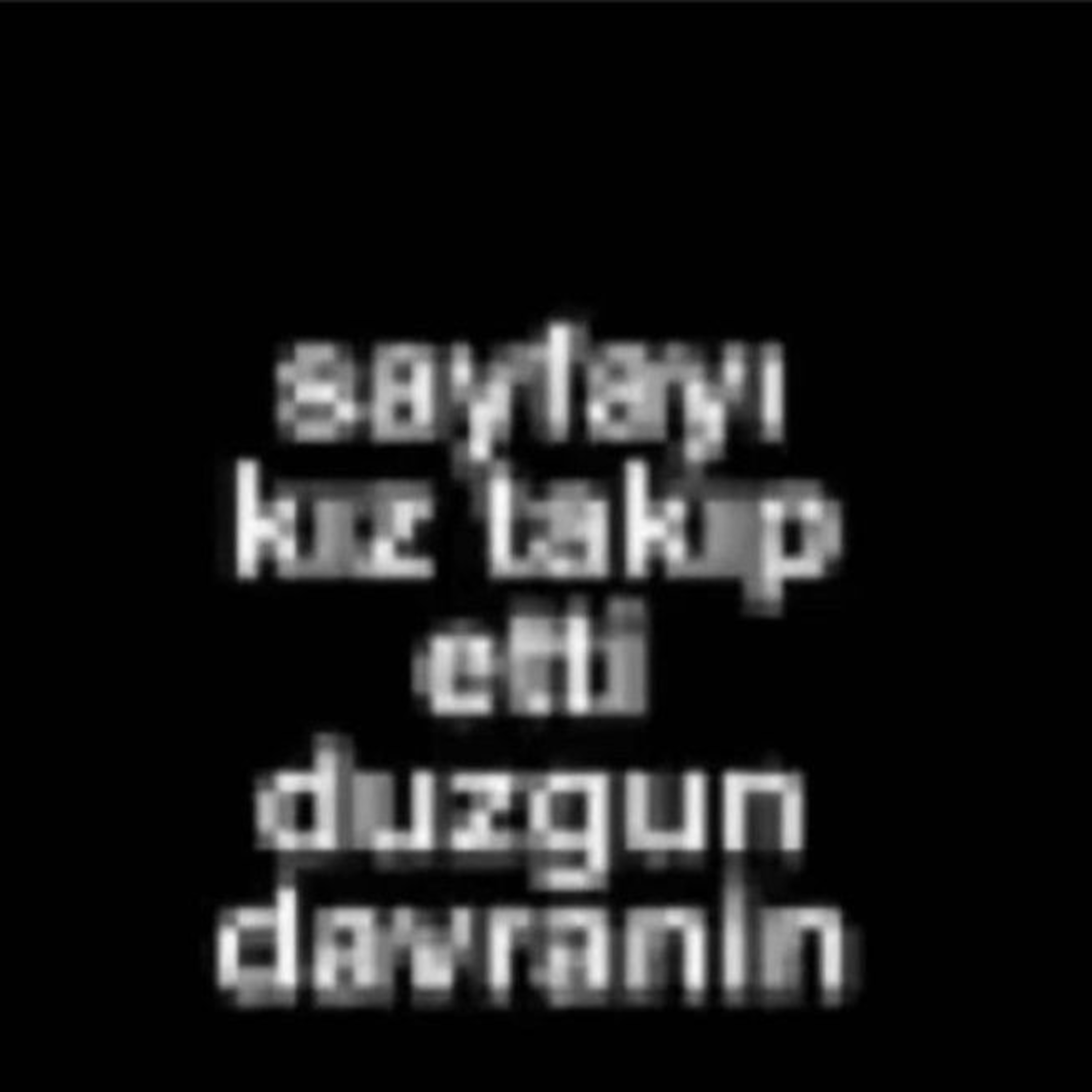 BAZA | CAHİL KÖPEKLER
