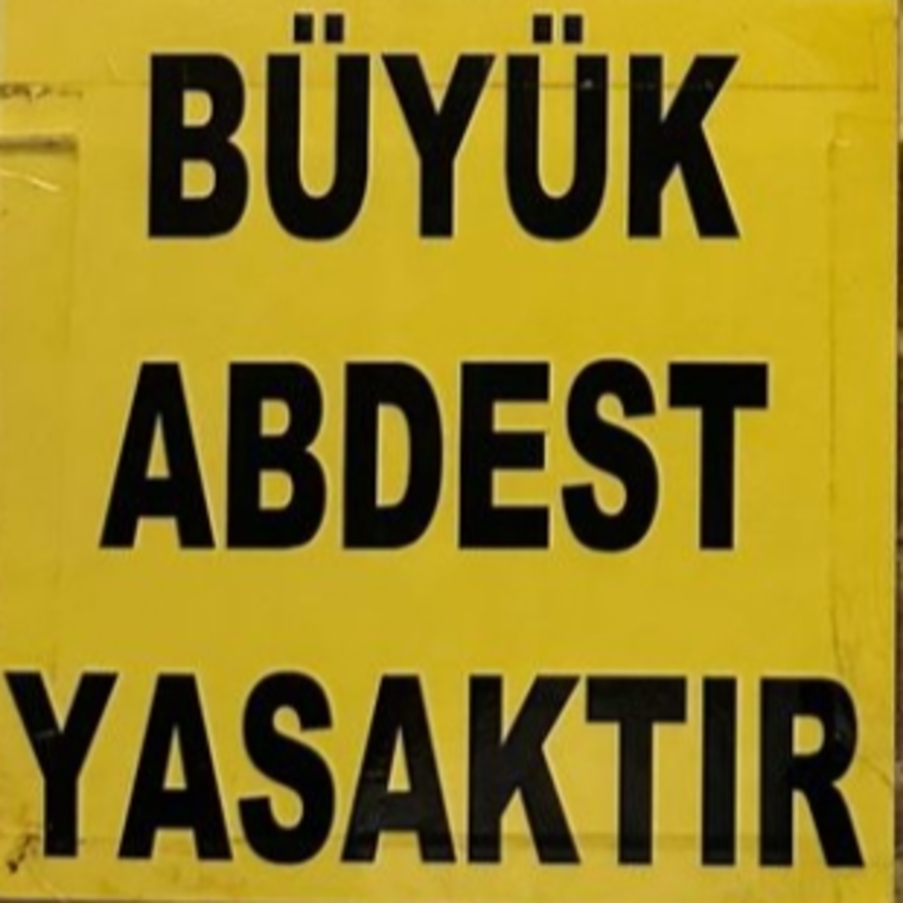 BAZA | CAHİL KÖPEKLER