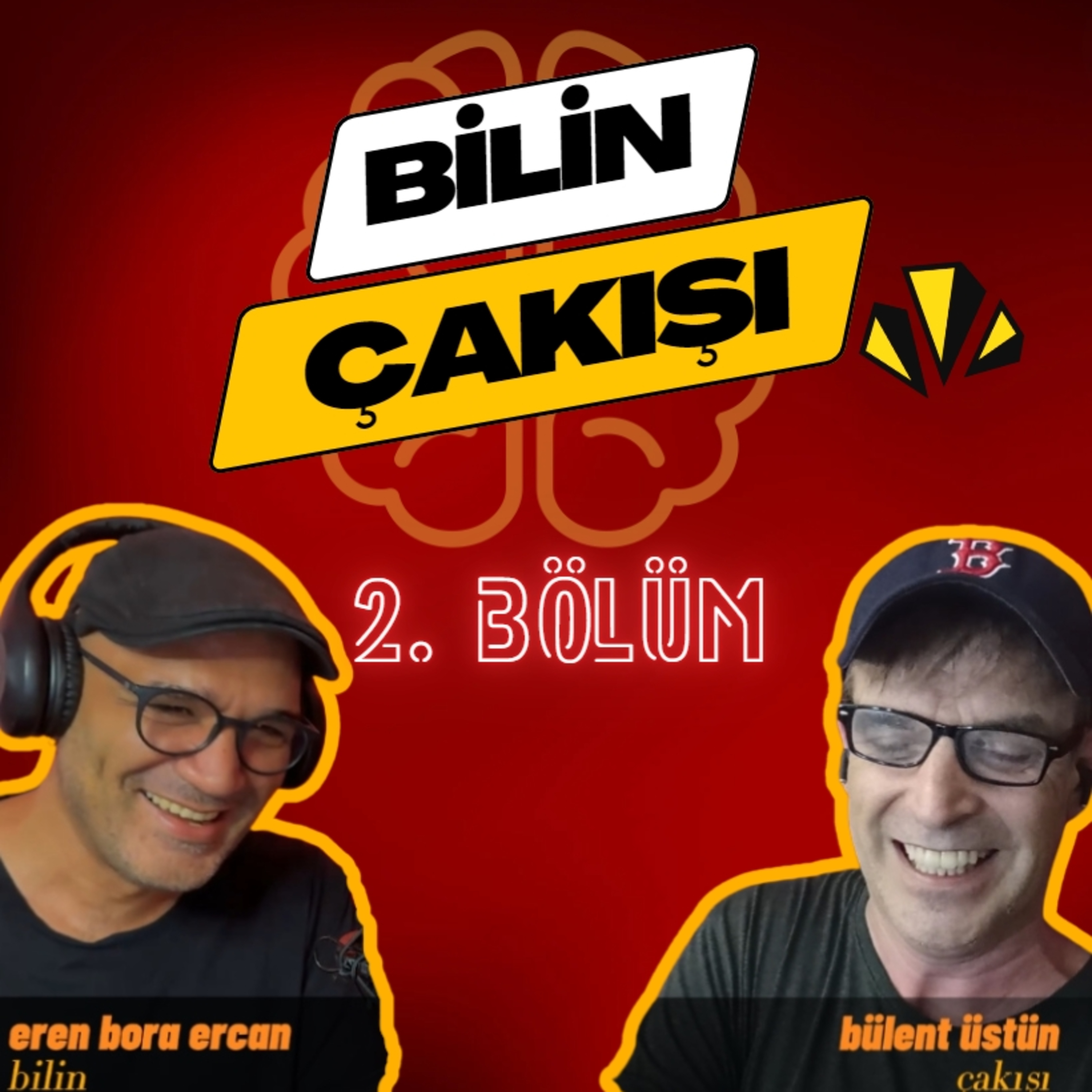 BAZA | CAHİL KÖPEKLER