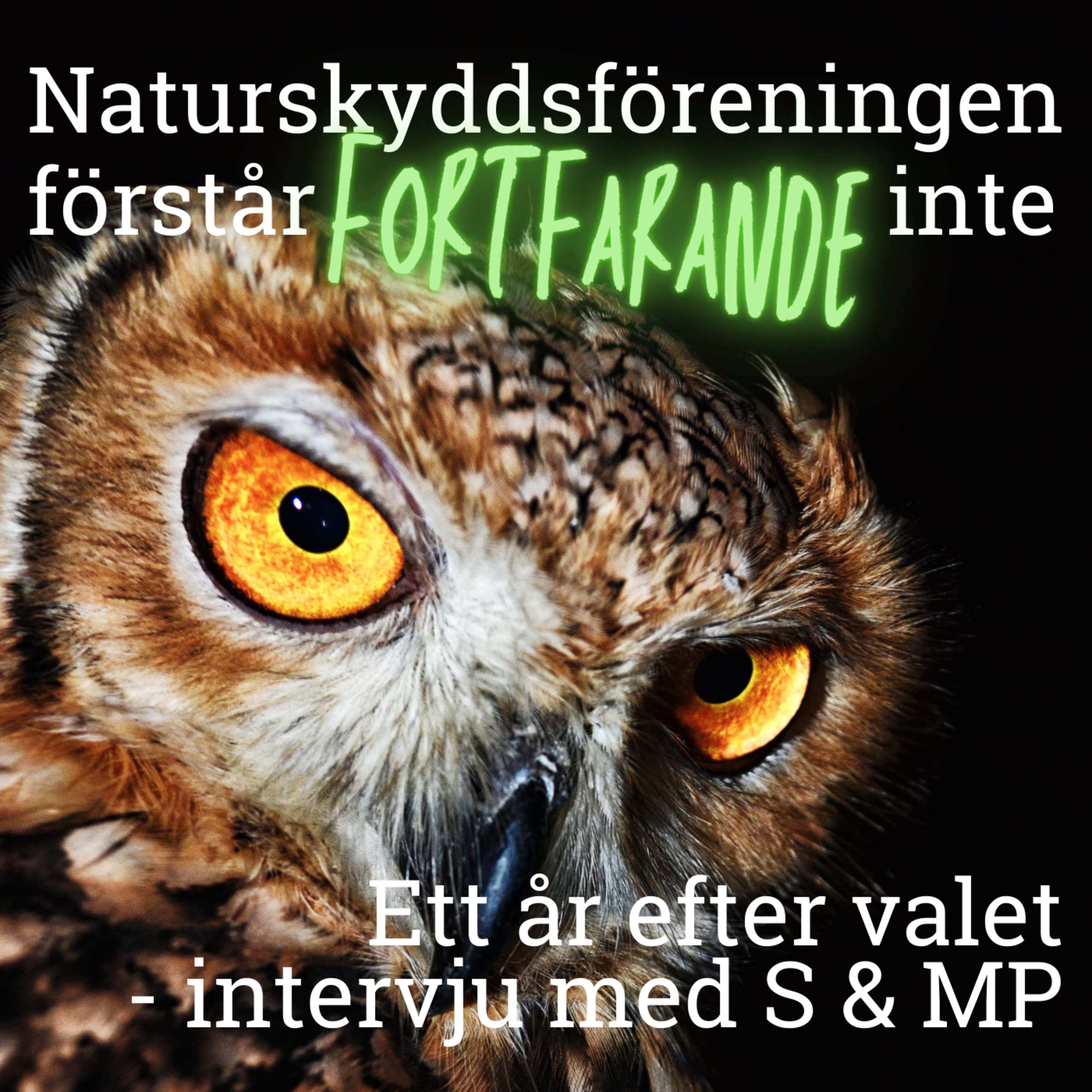 Naturskyddsföreningen förstår inte