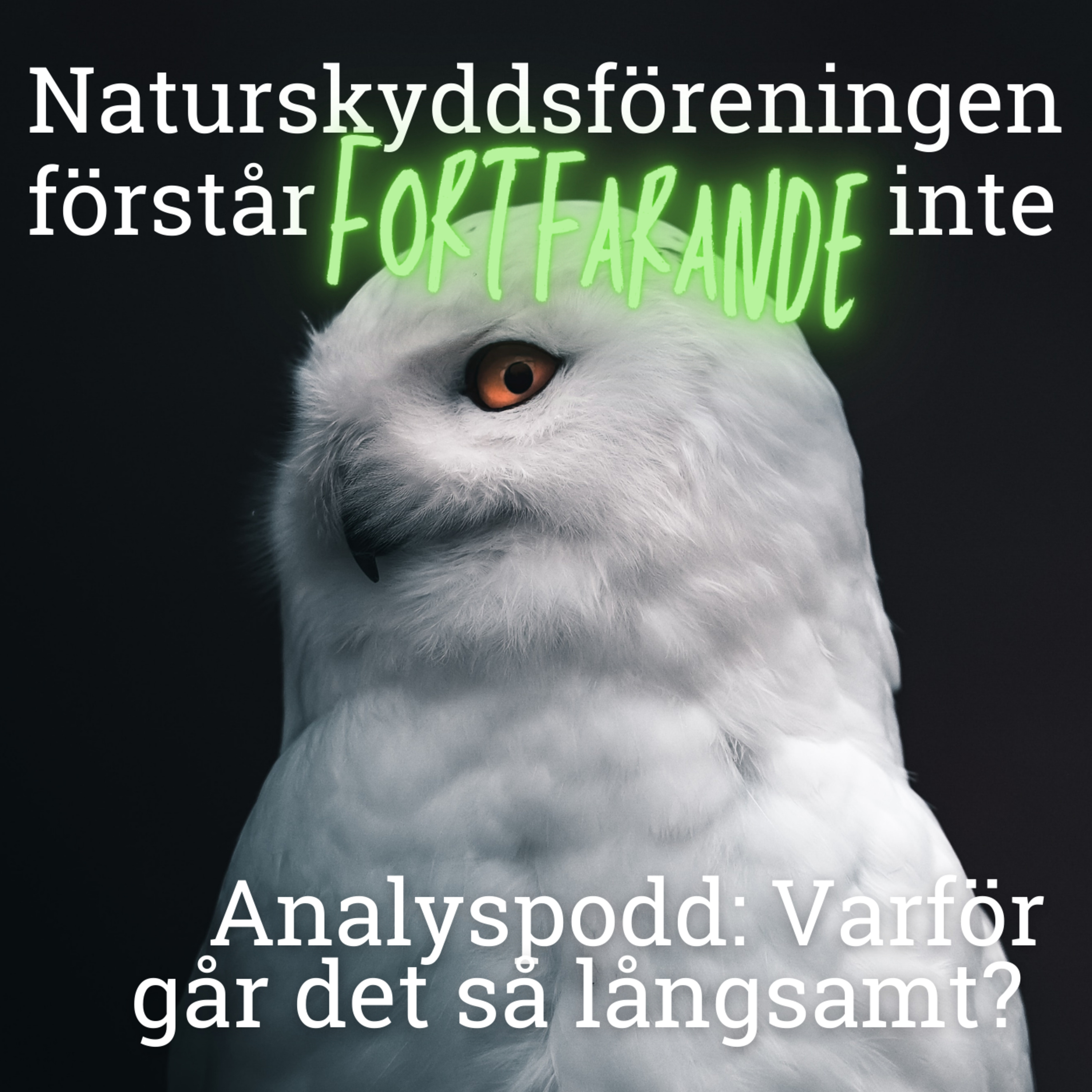 Naturskyddsföreningen förstår inte