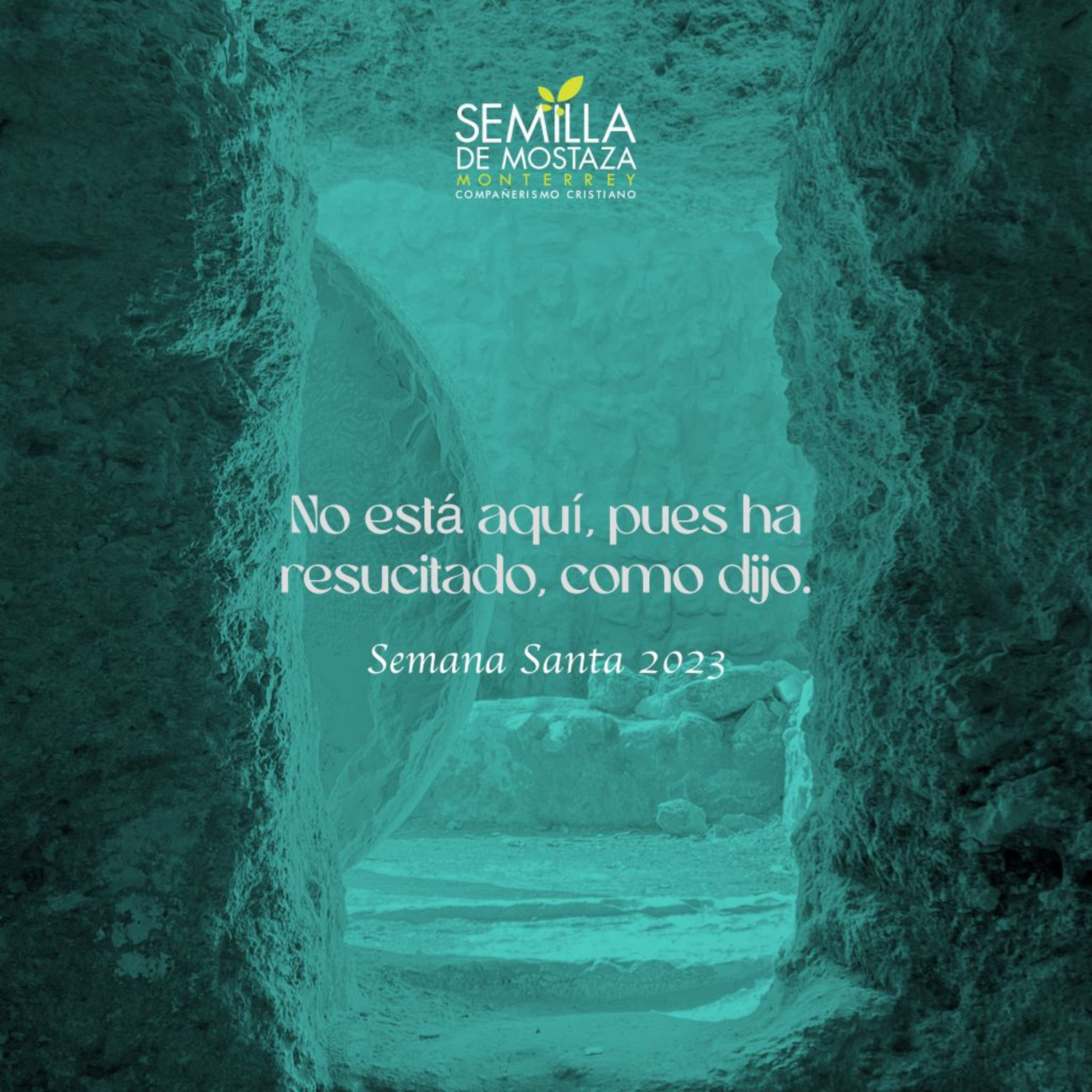 Semilla Monterrey