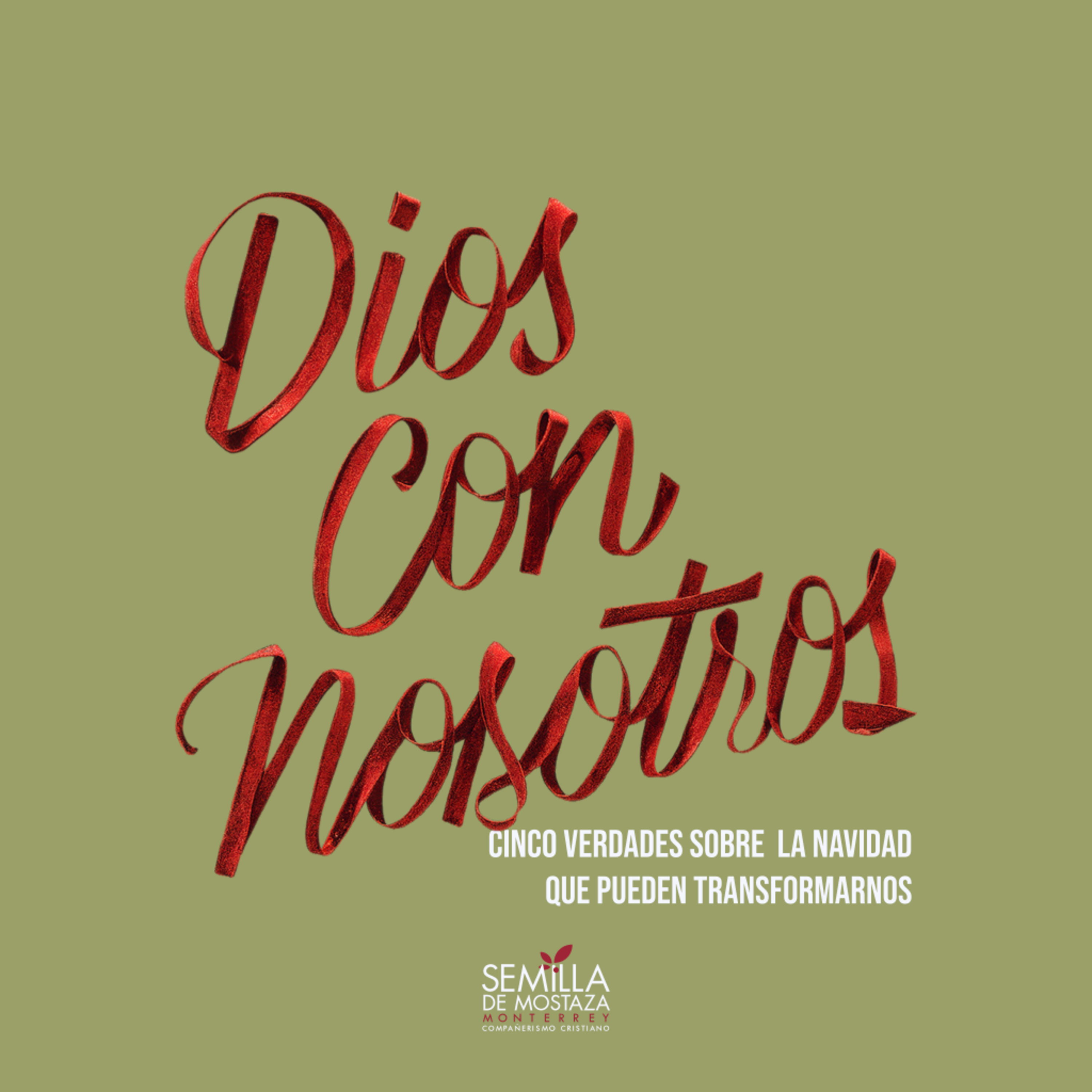 Dios con nosotros: En nuestra humanidad