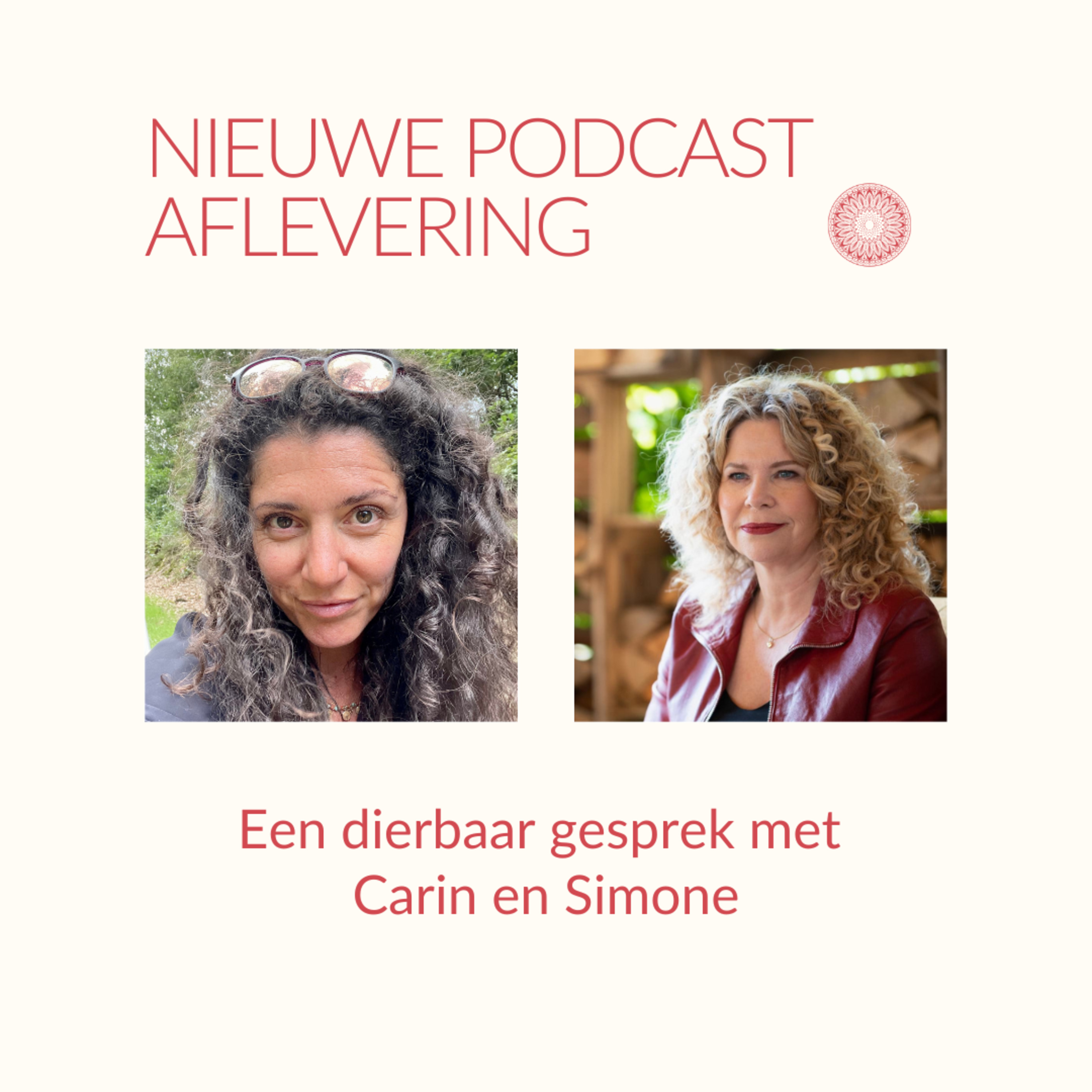 Een dierbaar gesprek met Carin