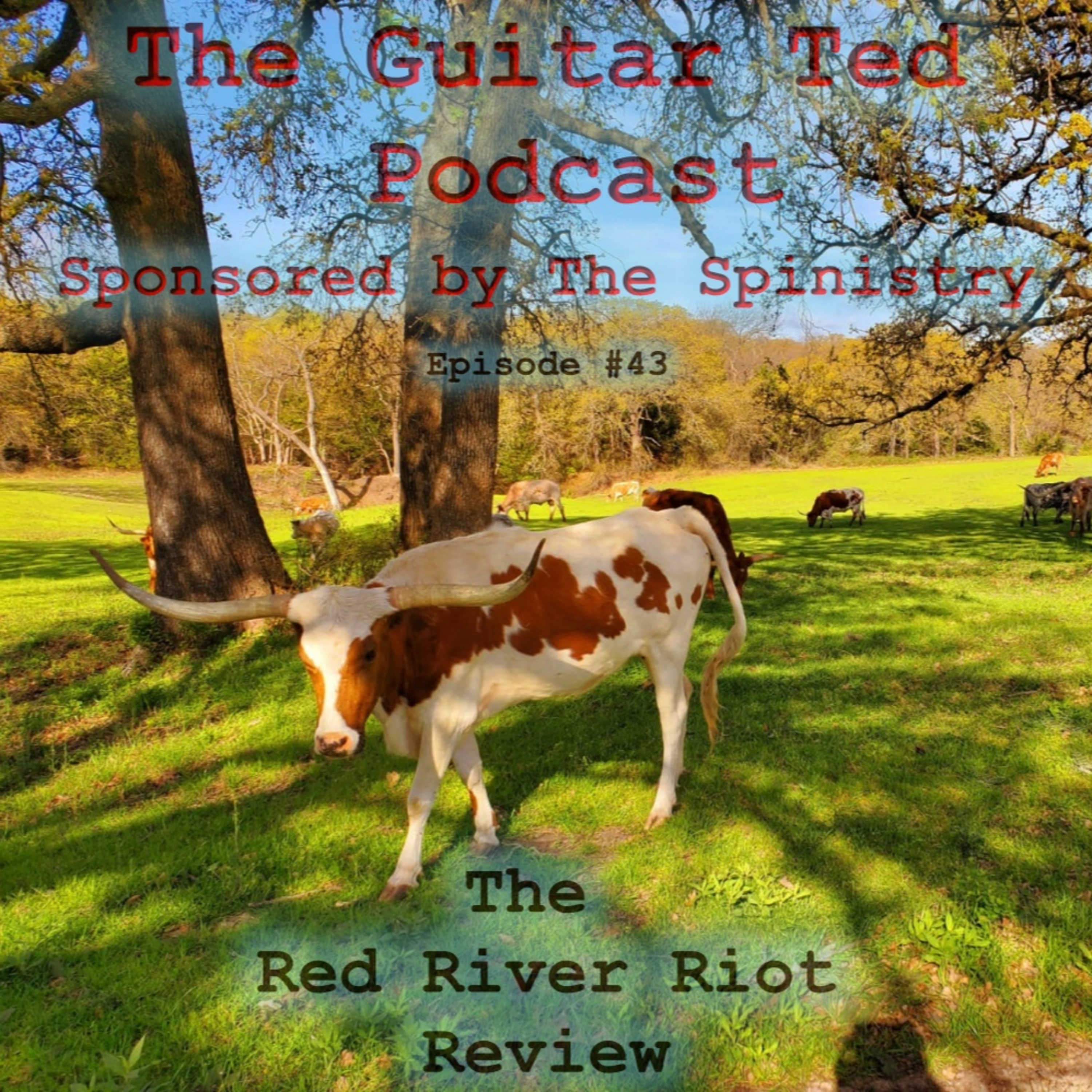 The Guitar Ted Podcast