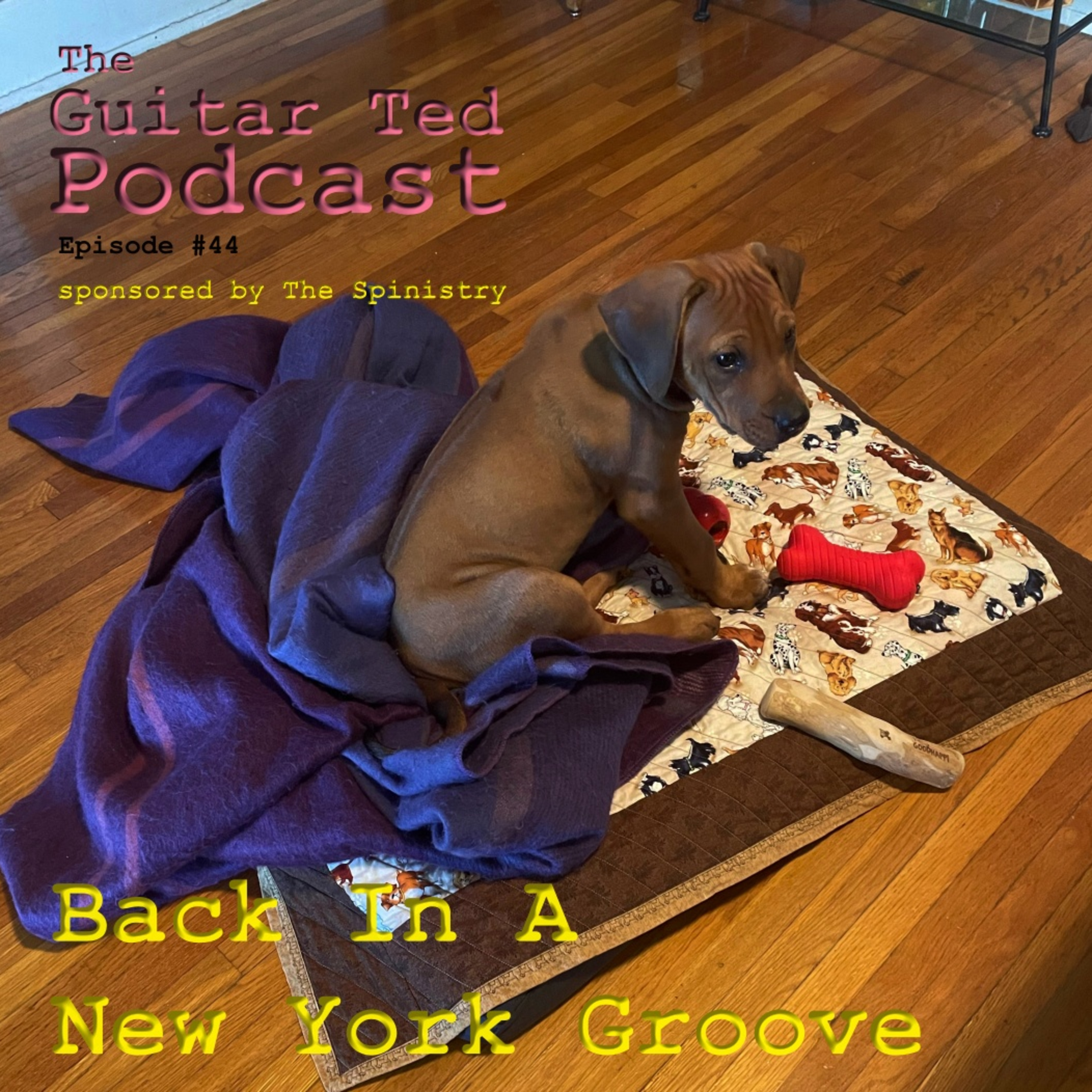 The Guitar Ted Podcast