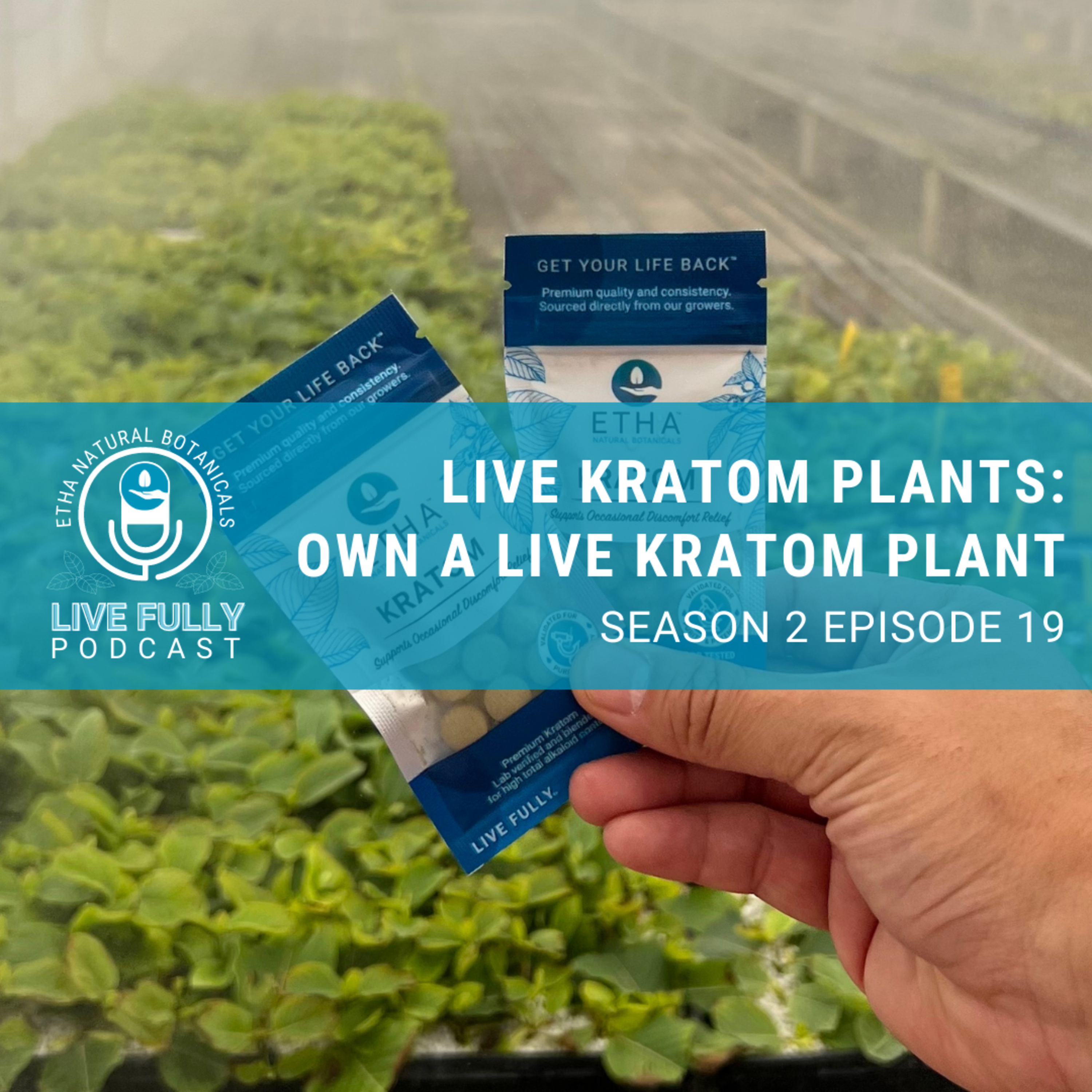 Live Fully with Kratom