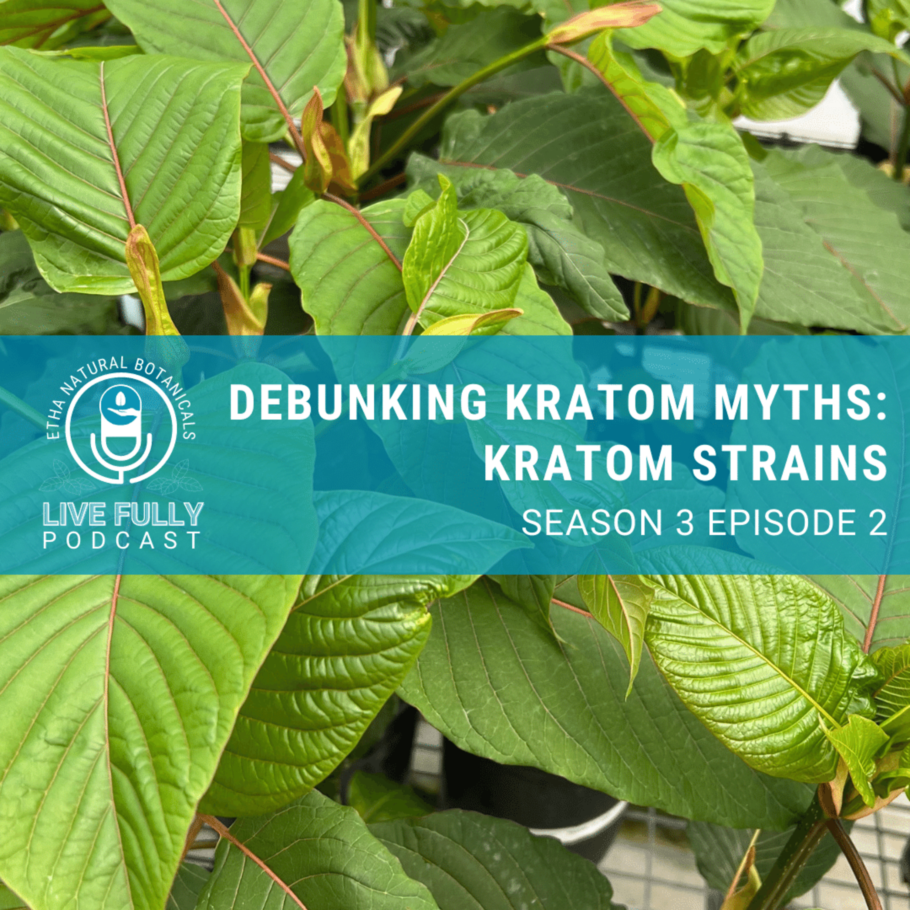 Live Fully with Kratom