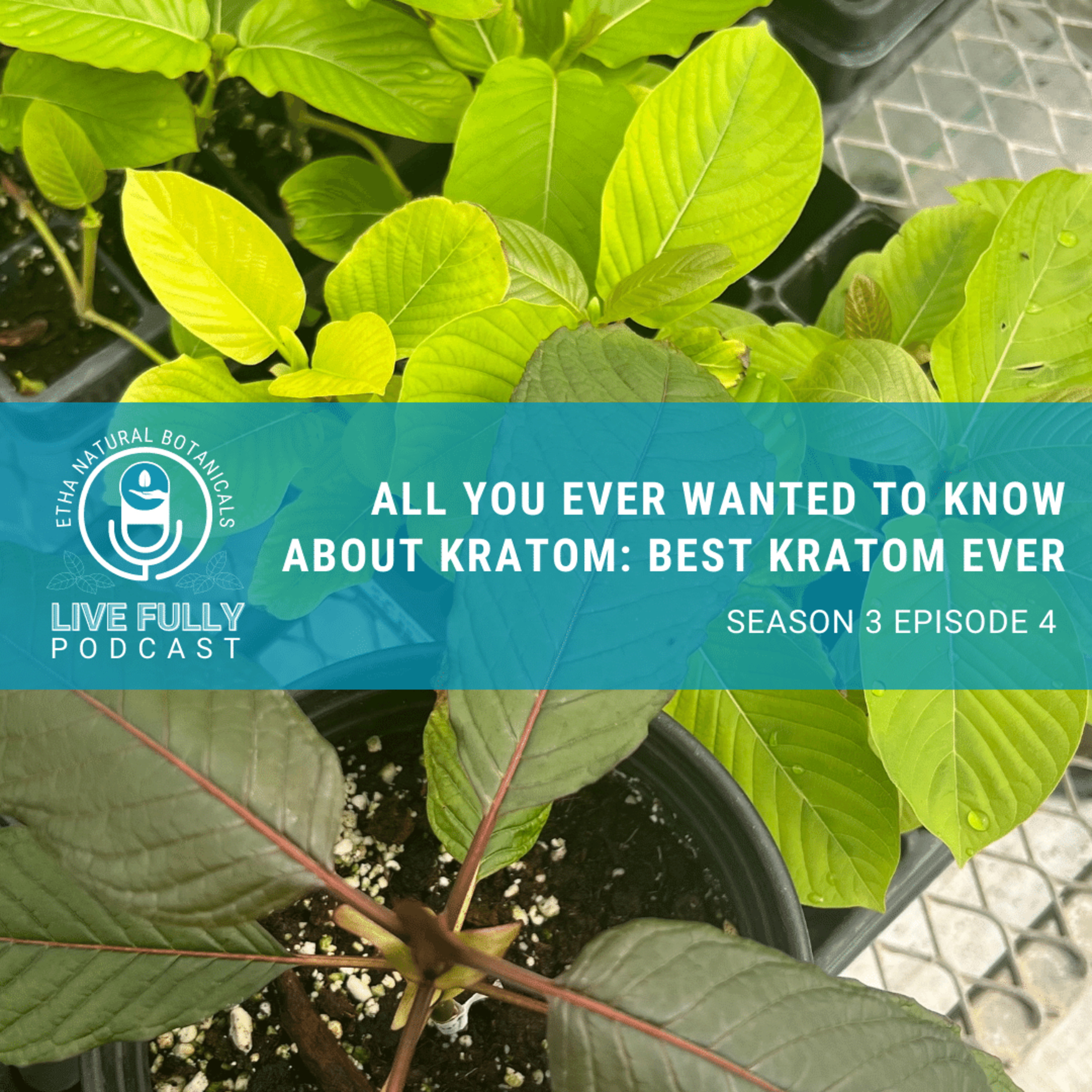 Live Fully with Kratom