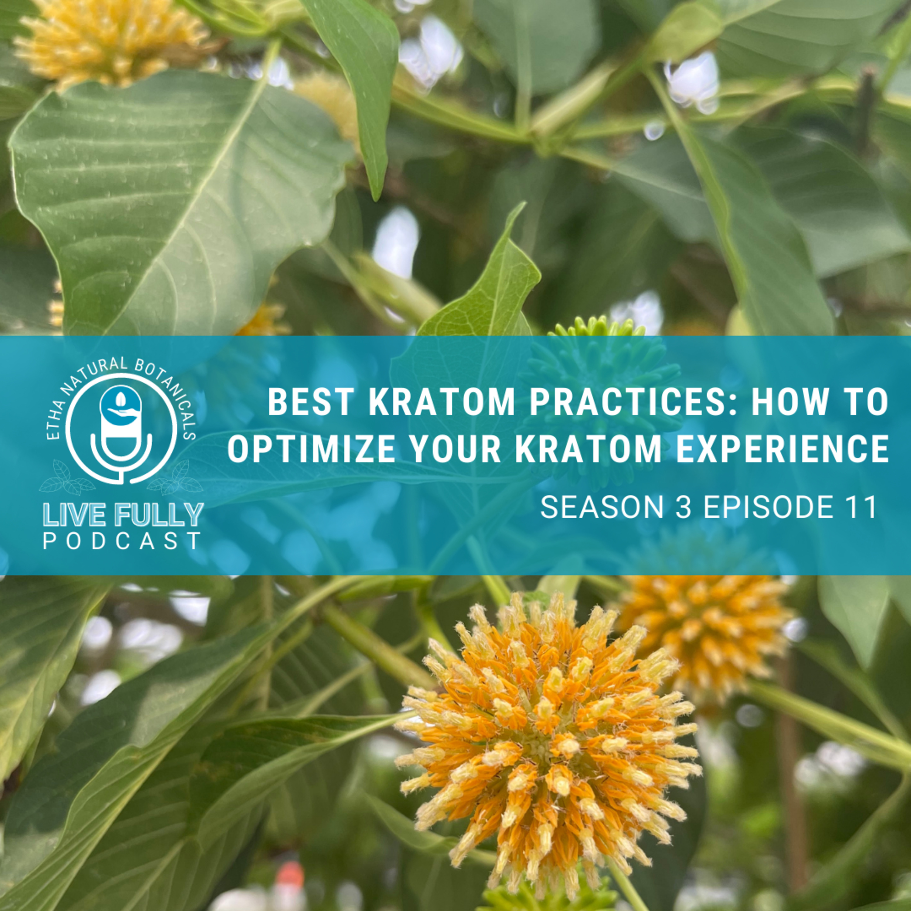 Live Fully with Kratom