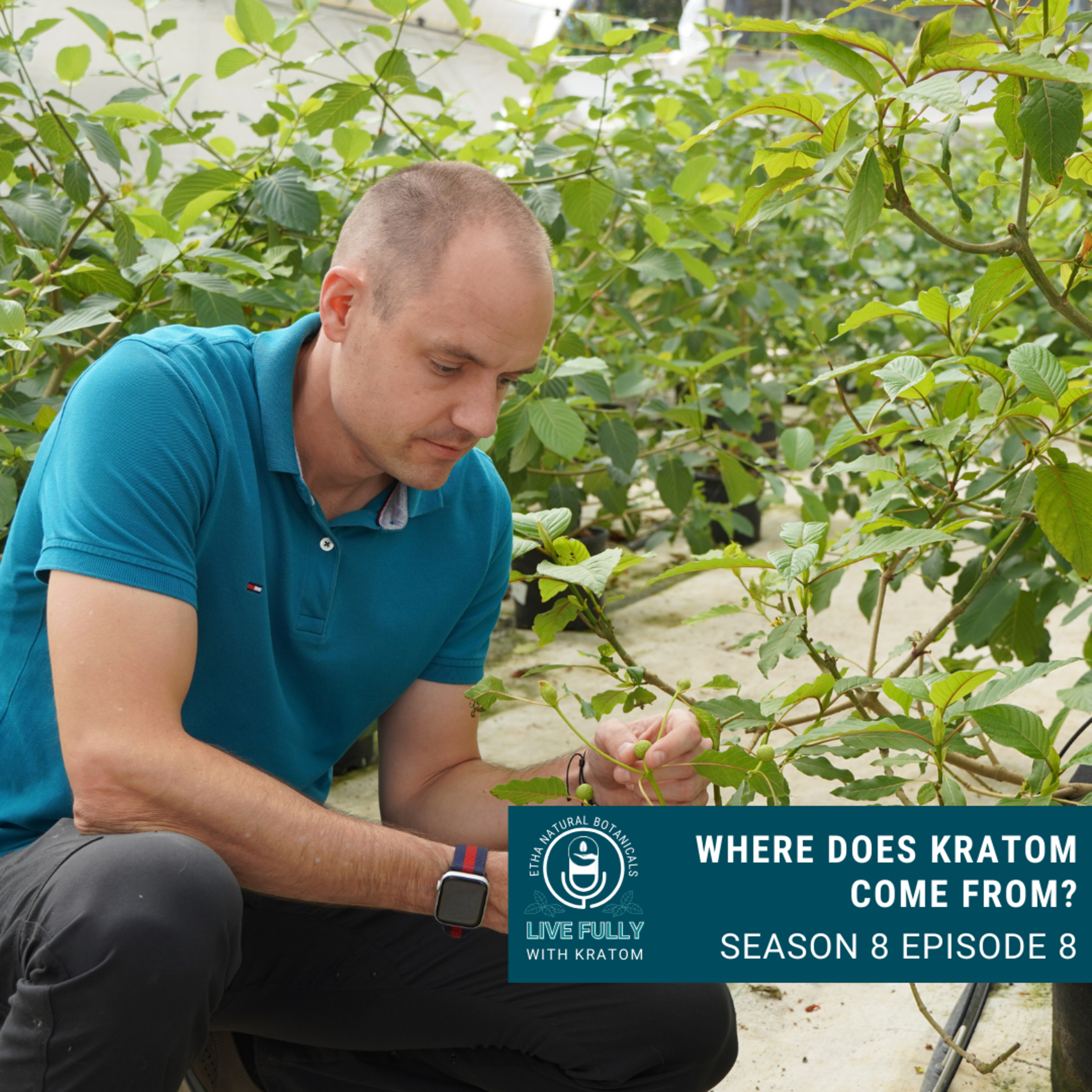 Live Fully with Kratom