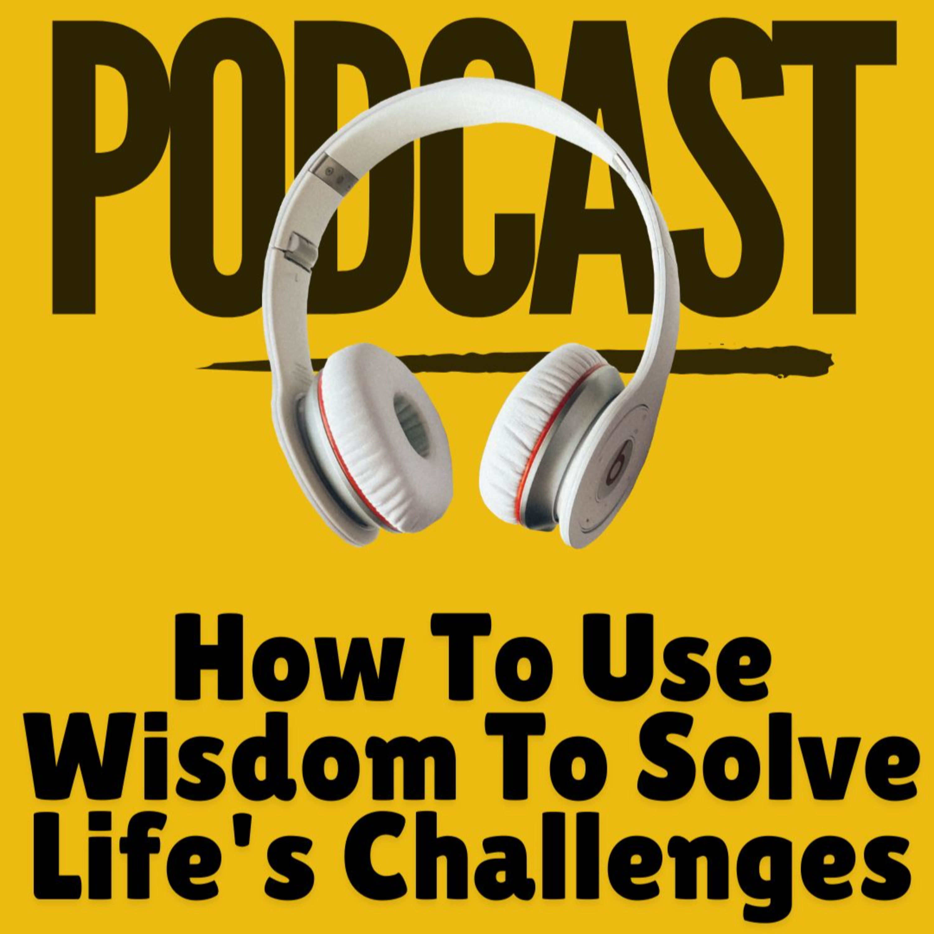 How To Use Wisdom To Solve Life's Challenges | SSFL episode artwork