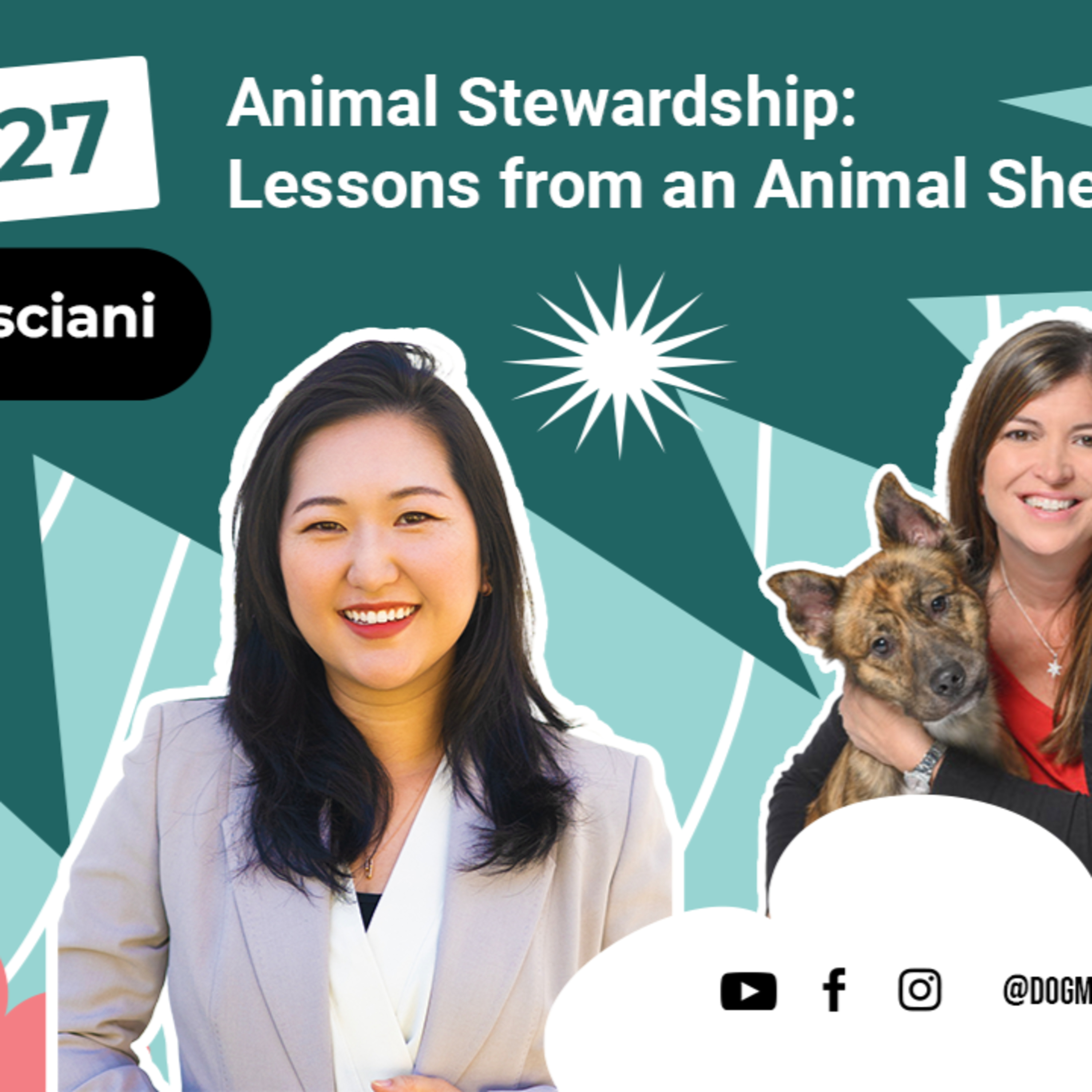 Ep #27 - Animal Stewardship: Lessons from an Animal Shelter CEO (ft. Nikole Bresciani)