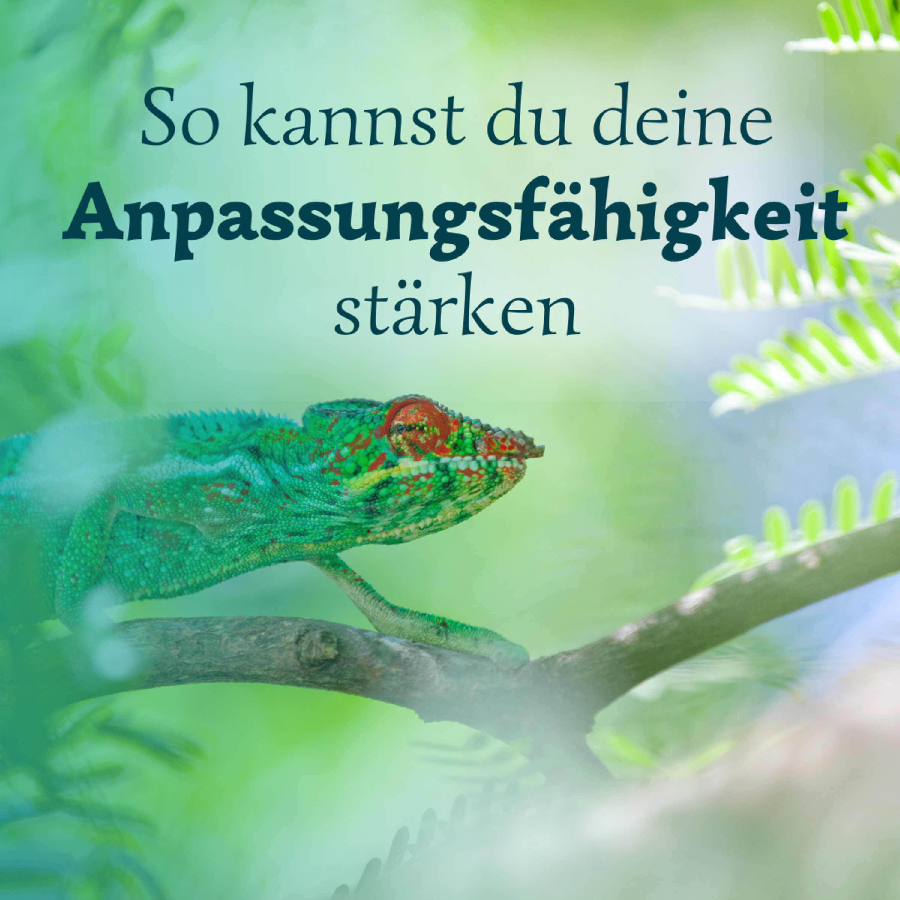 Meditation für mich