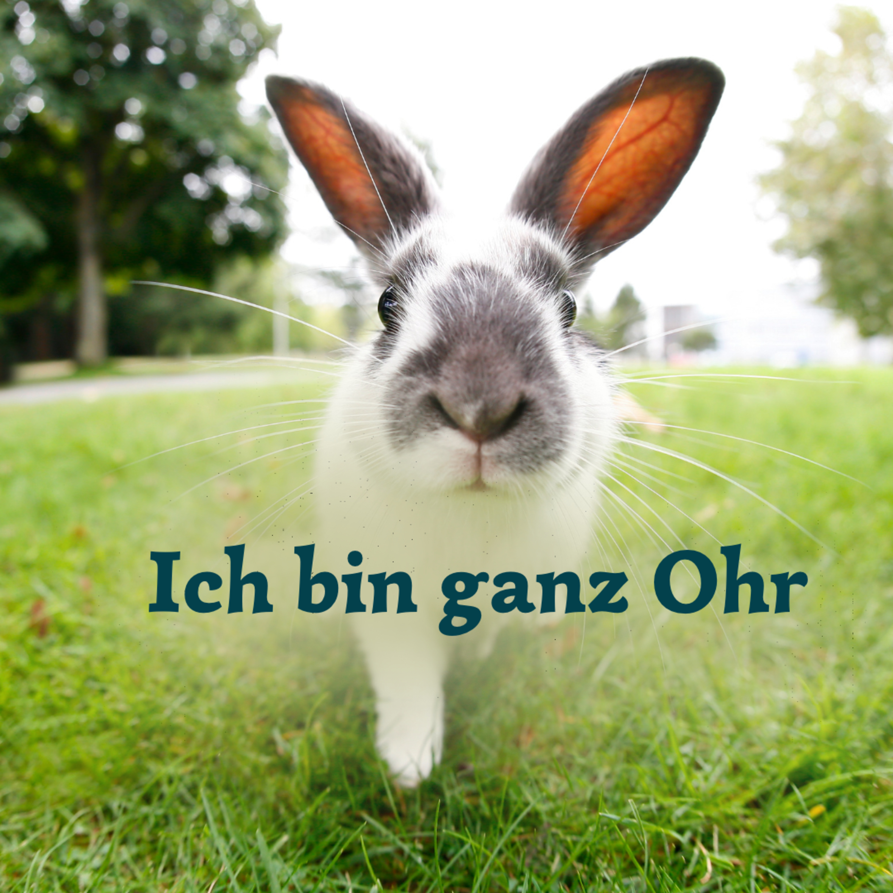 Meditation für mich